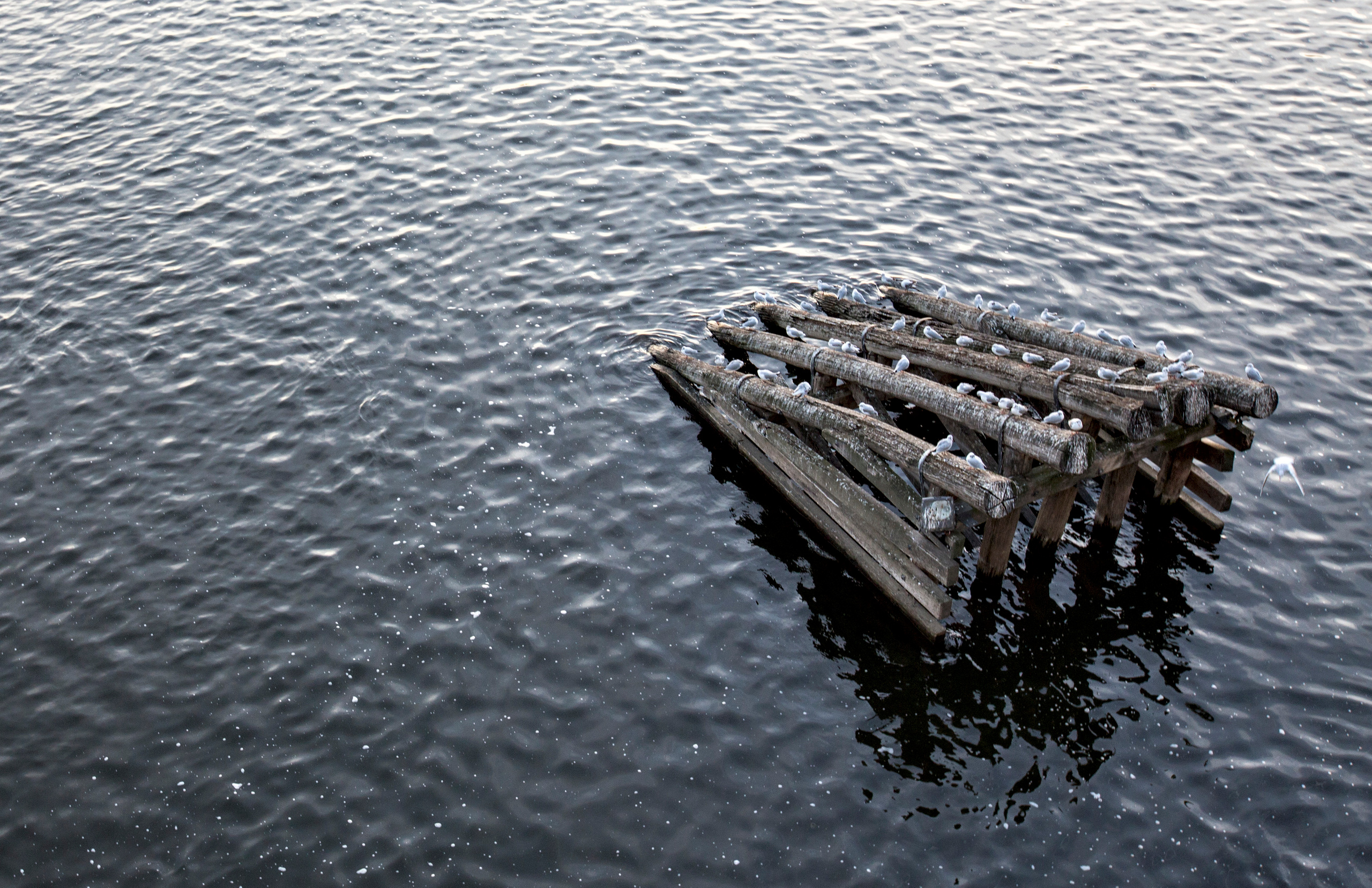 Прага (декабрь 2013). Фотограф Сергей Танков