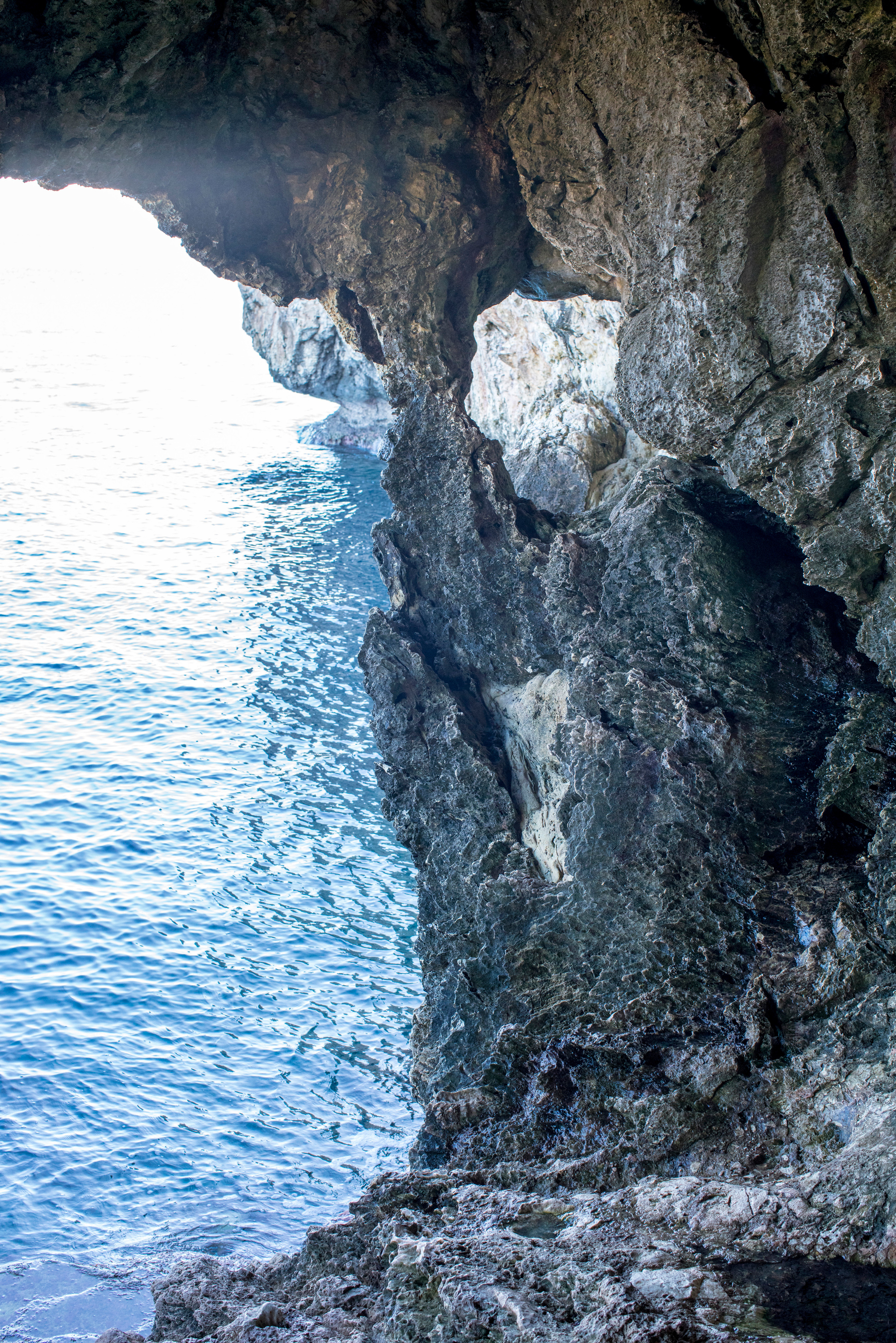 Кипр (январь 2018). Фотограф Сергей Танков