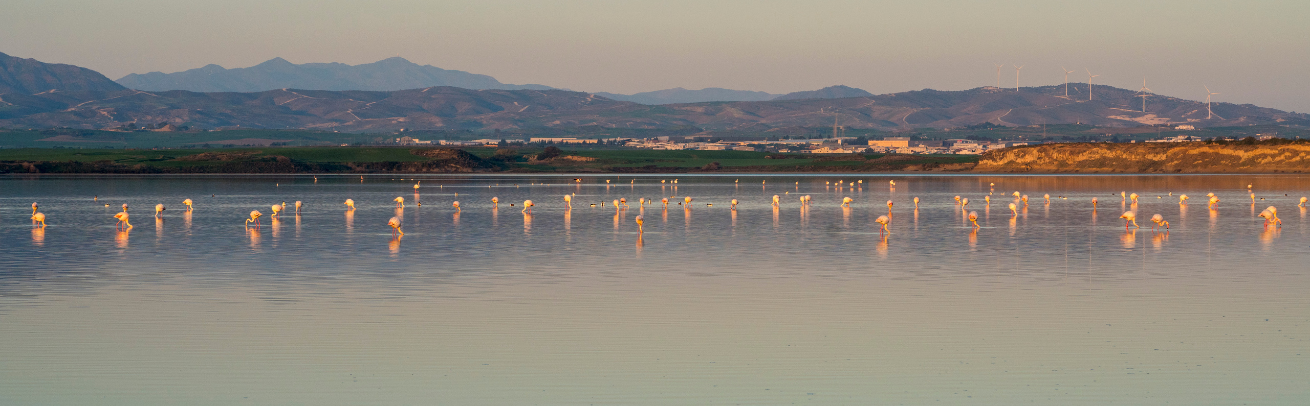 Кипр (январь 2018). Фотограф Сергей Танков