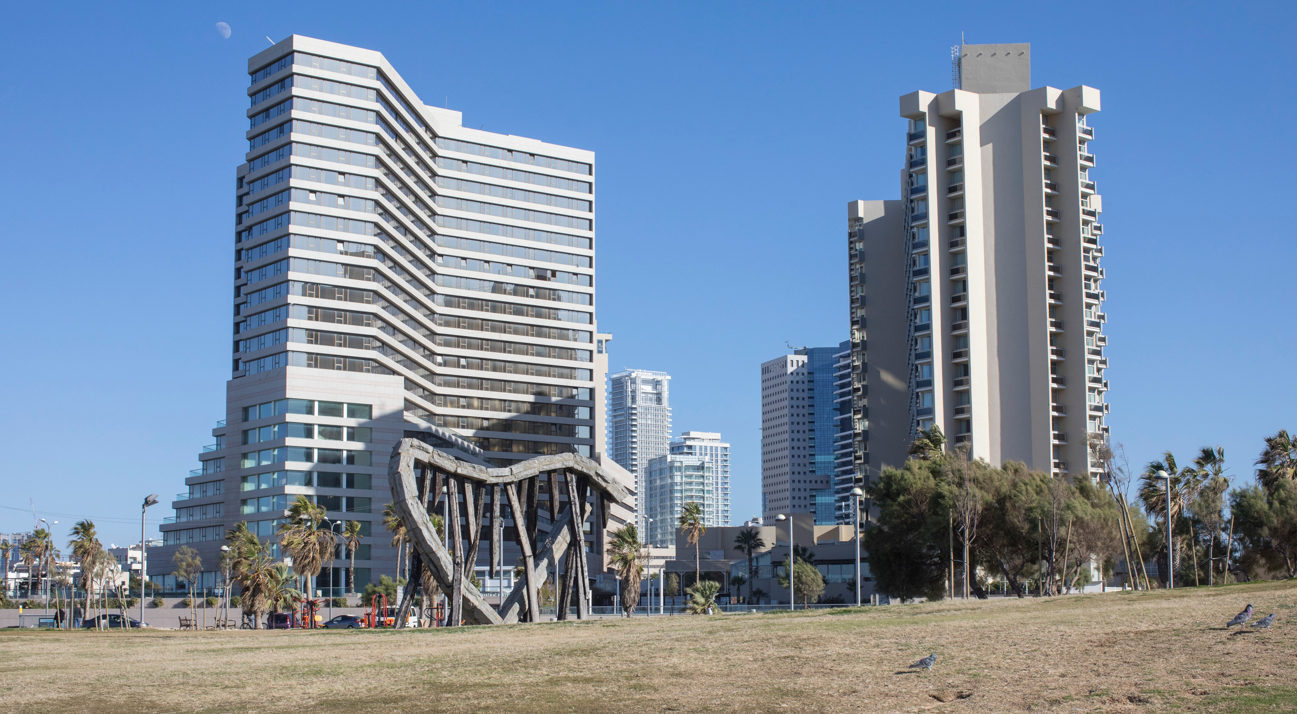 Израиль (январь 2017). Фотограф Сергей Танков