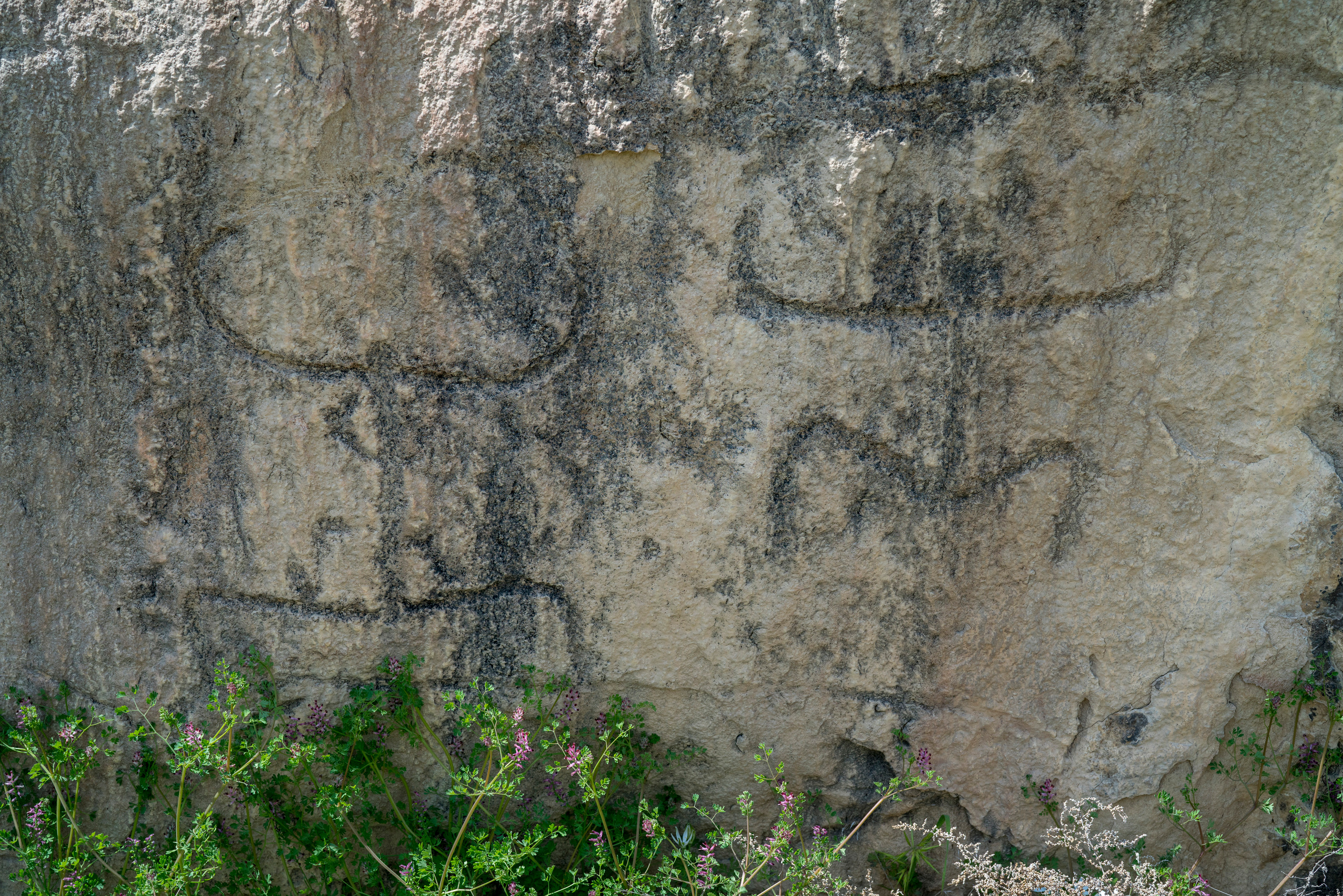 Азербайджан (апрель 2018). Фотограф Сергей Танков