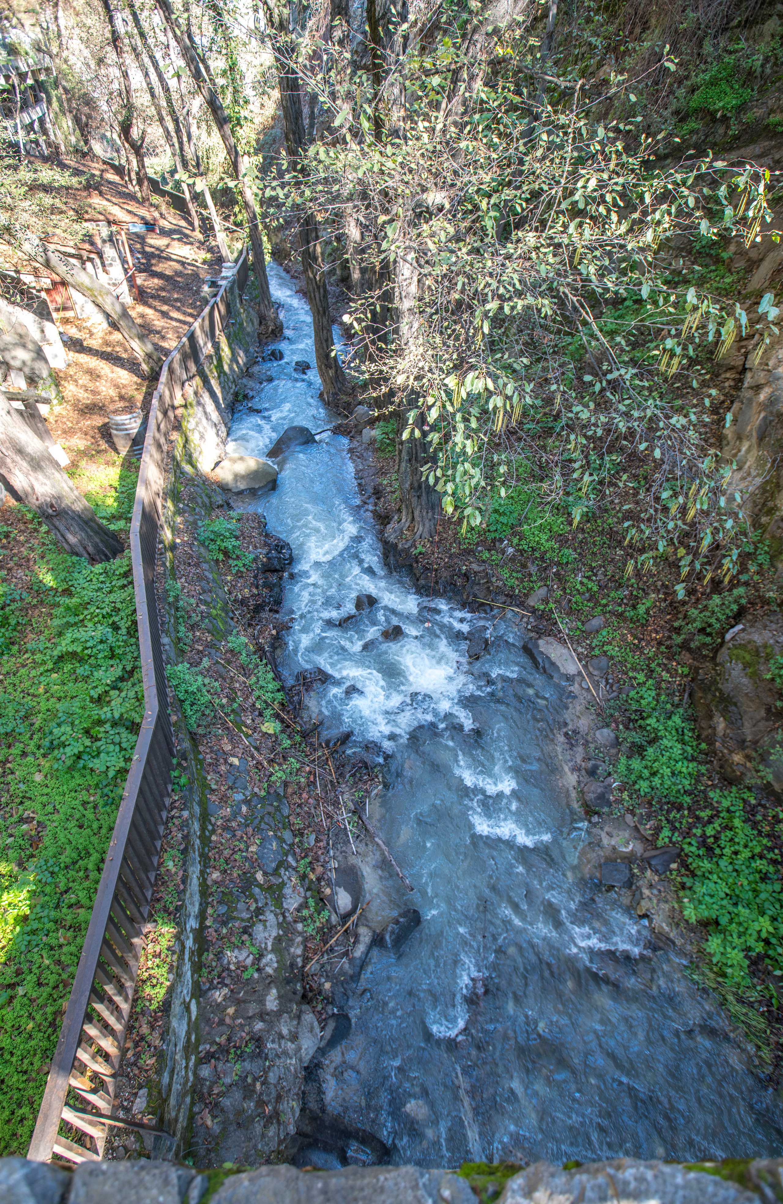 Кипр (январь 2018). Фотограф Сергей Танков