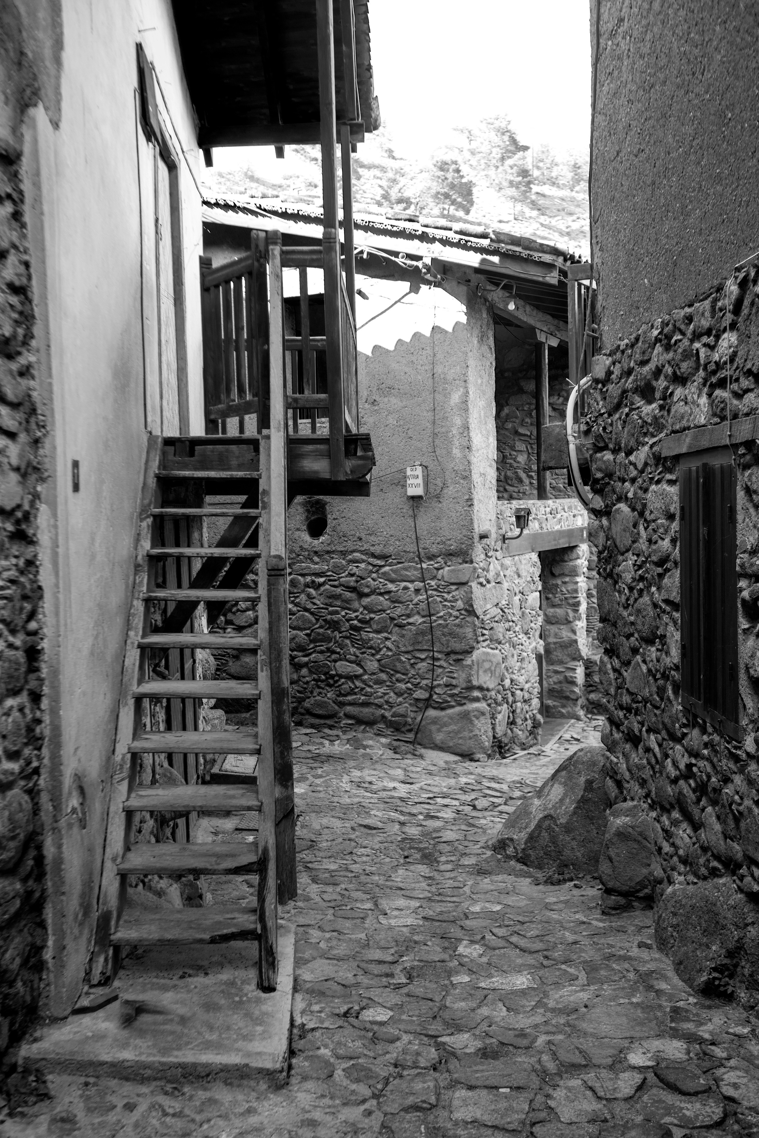 Кипр (январь 2018). Фотограф Сергей Танков