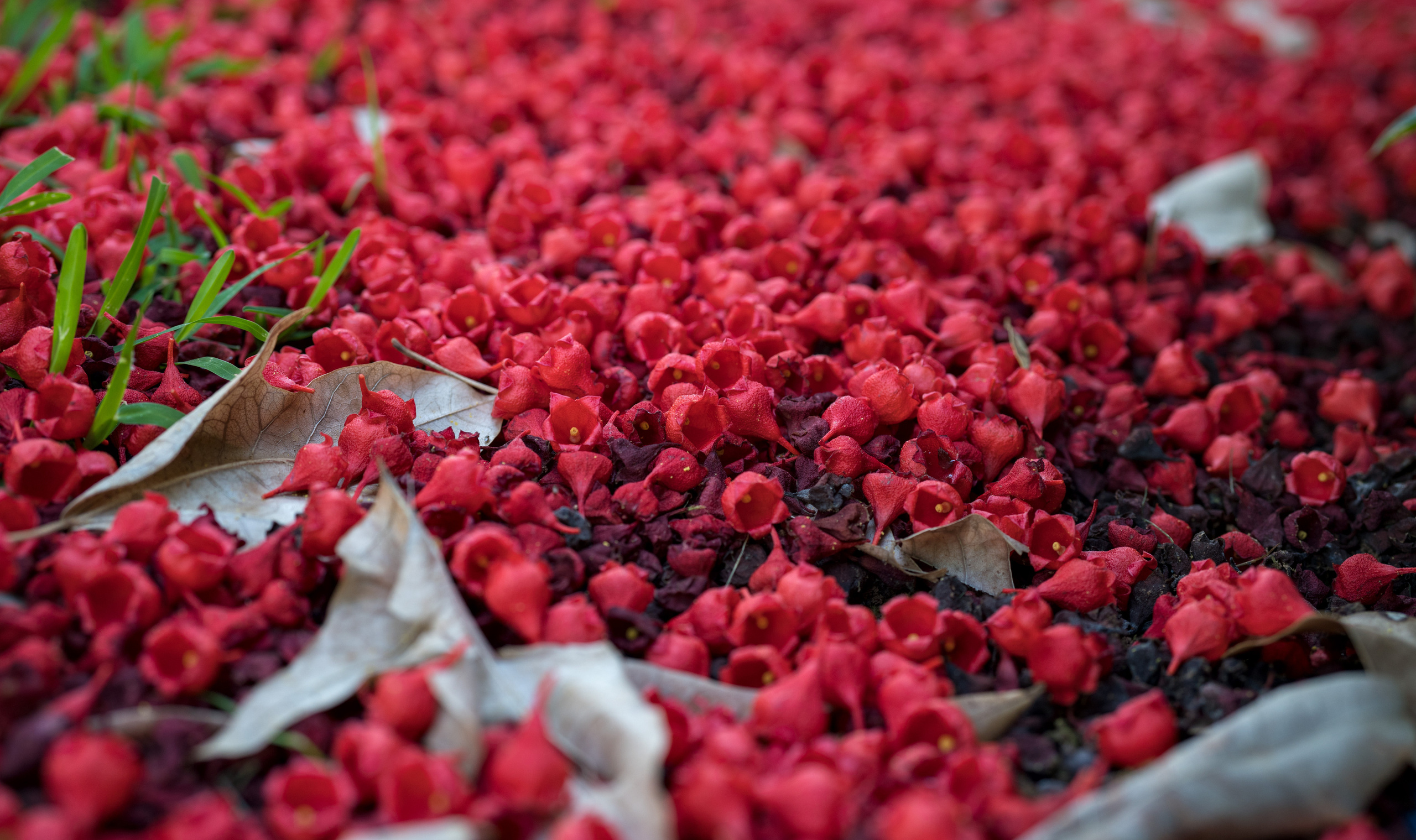 Майорка (июль 2018). Фотограф Сергей Танков