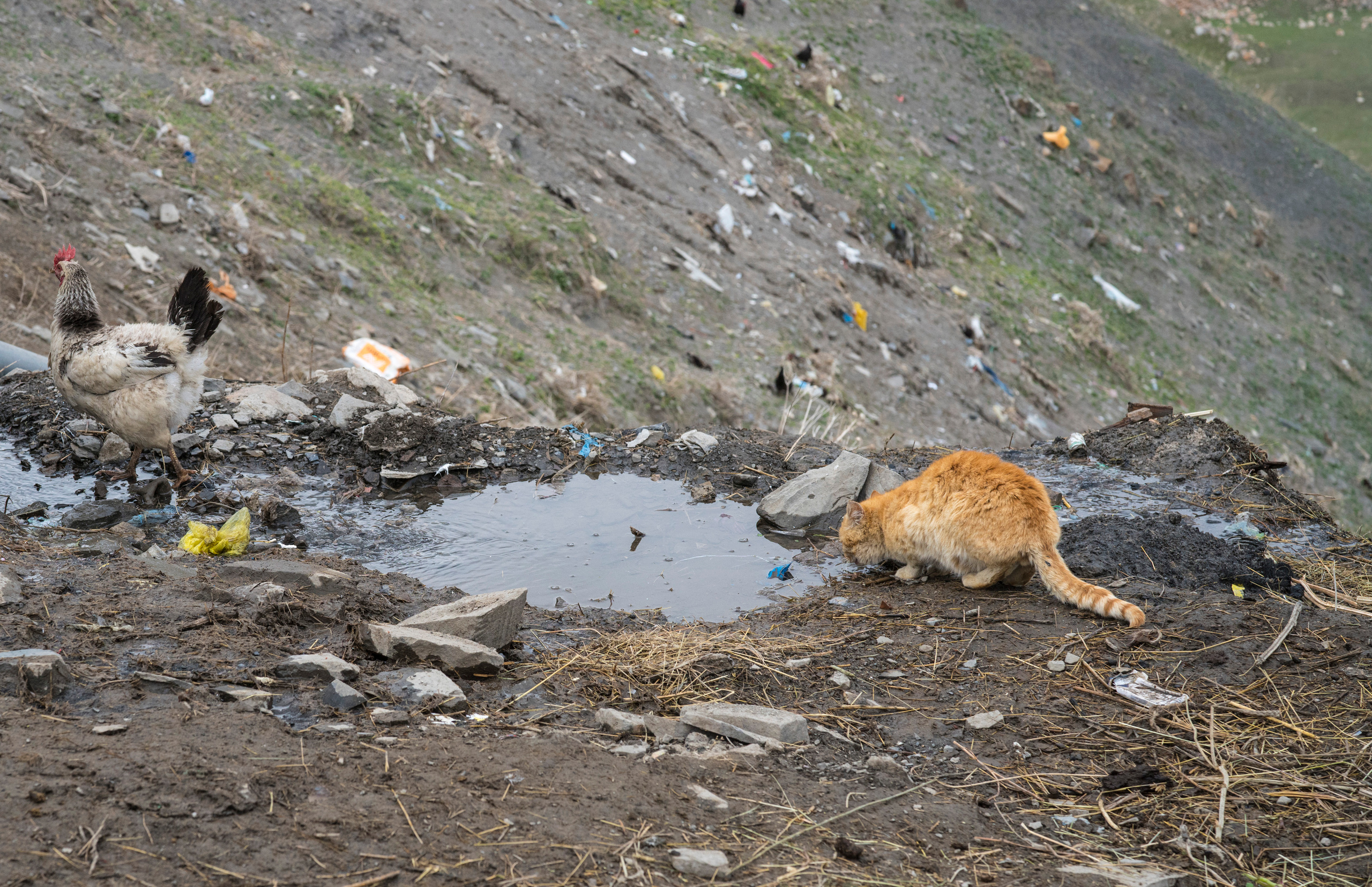 Азербайджан (апрель 2018). Фотограф Сергей Танков