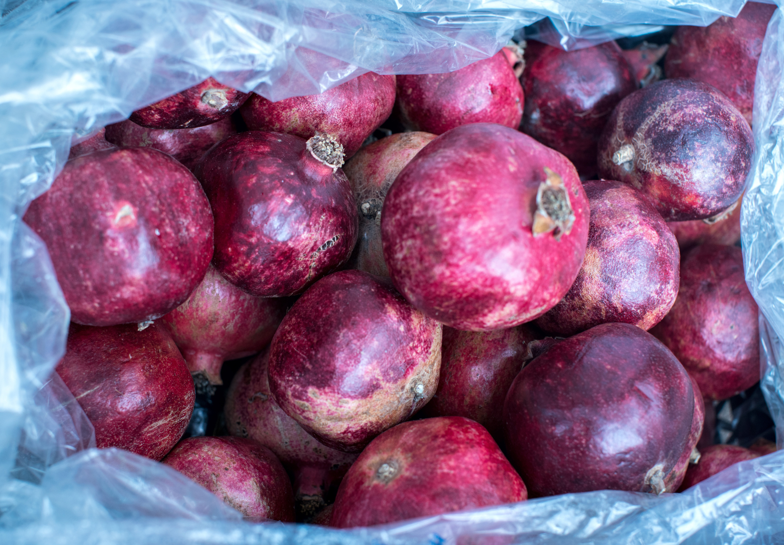 Грузия (декабрь 2017). Фотограф Сергей Танков