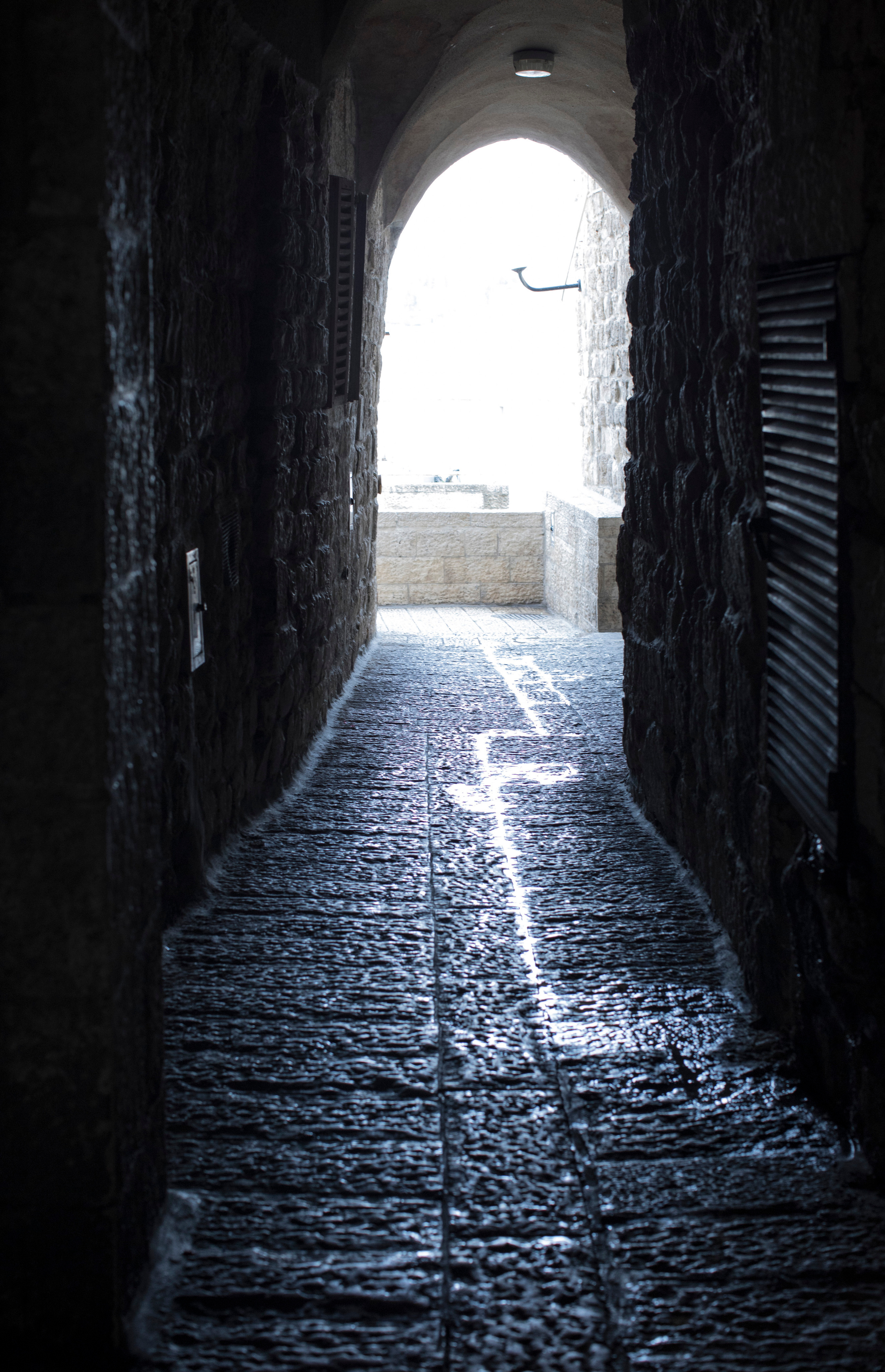 Израиль (январь 2017). Фотограф Сергей Танков