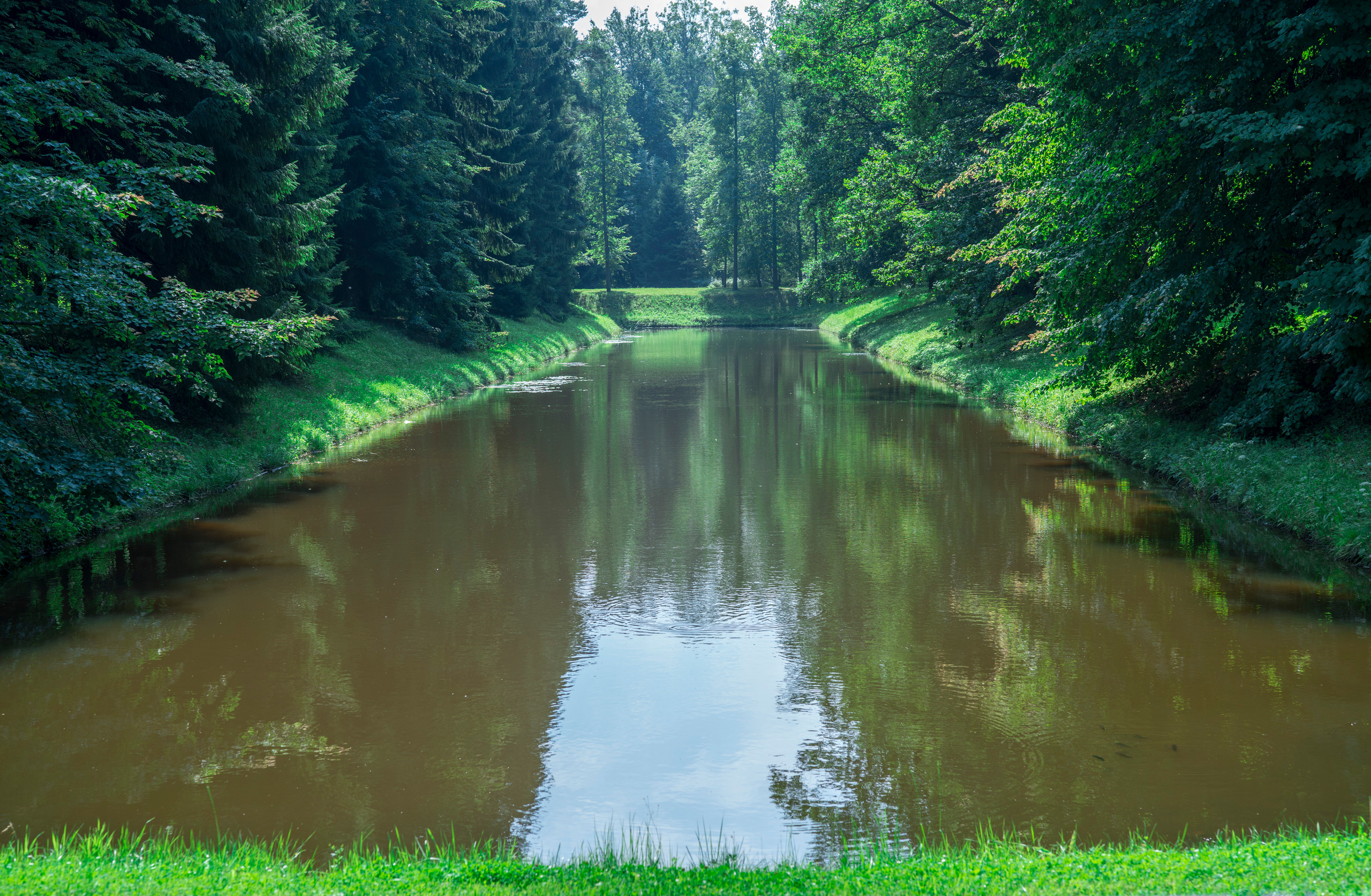 Питер (июль 2018). Фотограф Сергей Танков