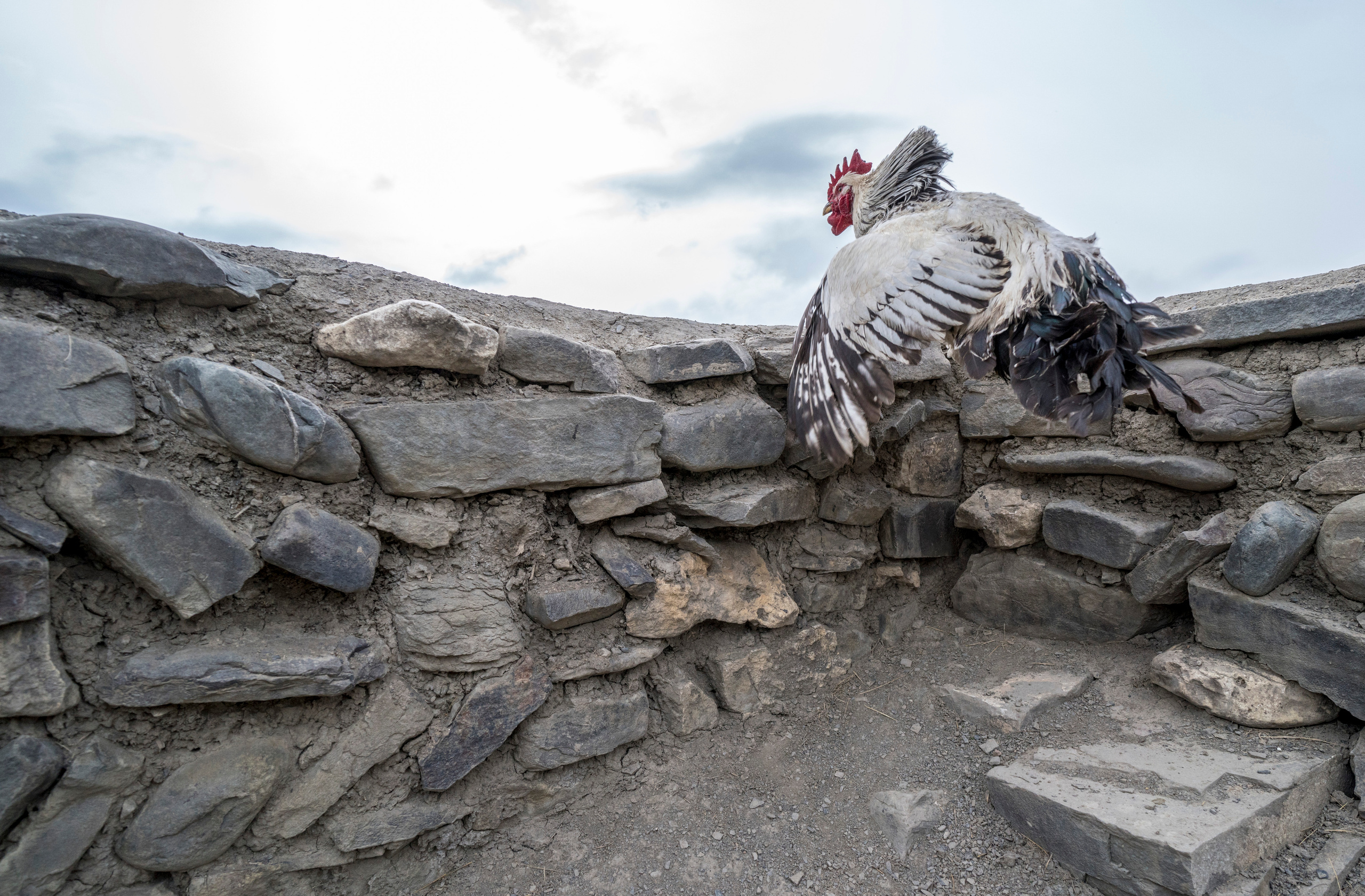 Азербайджан (апрель 2018). Фотограф Сергей Танков
