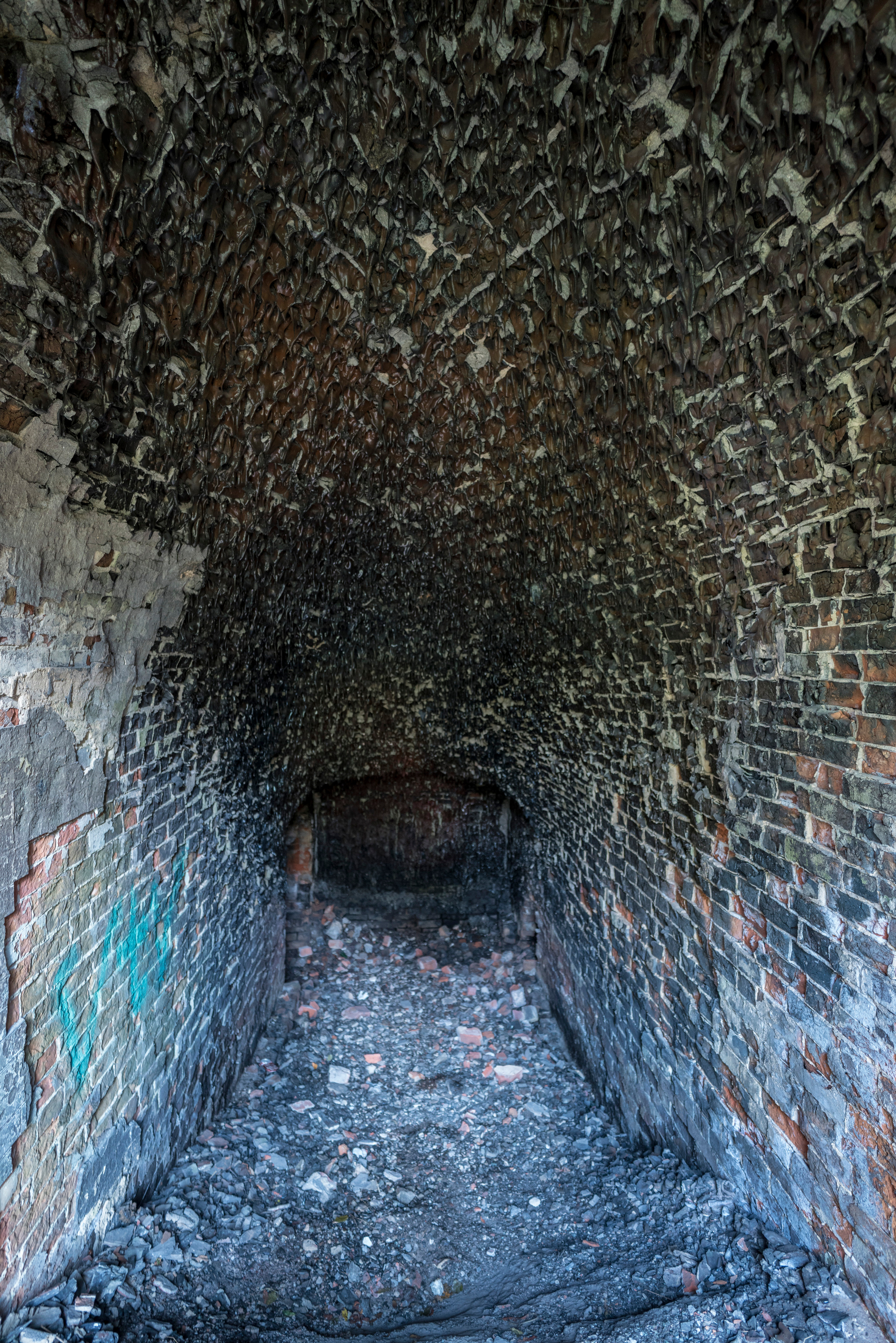 Питер. Кронштадт. Форты (октябрь 2018). Фотограф Сергей Танков