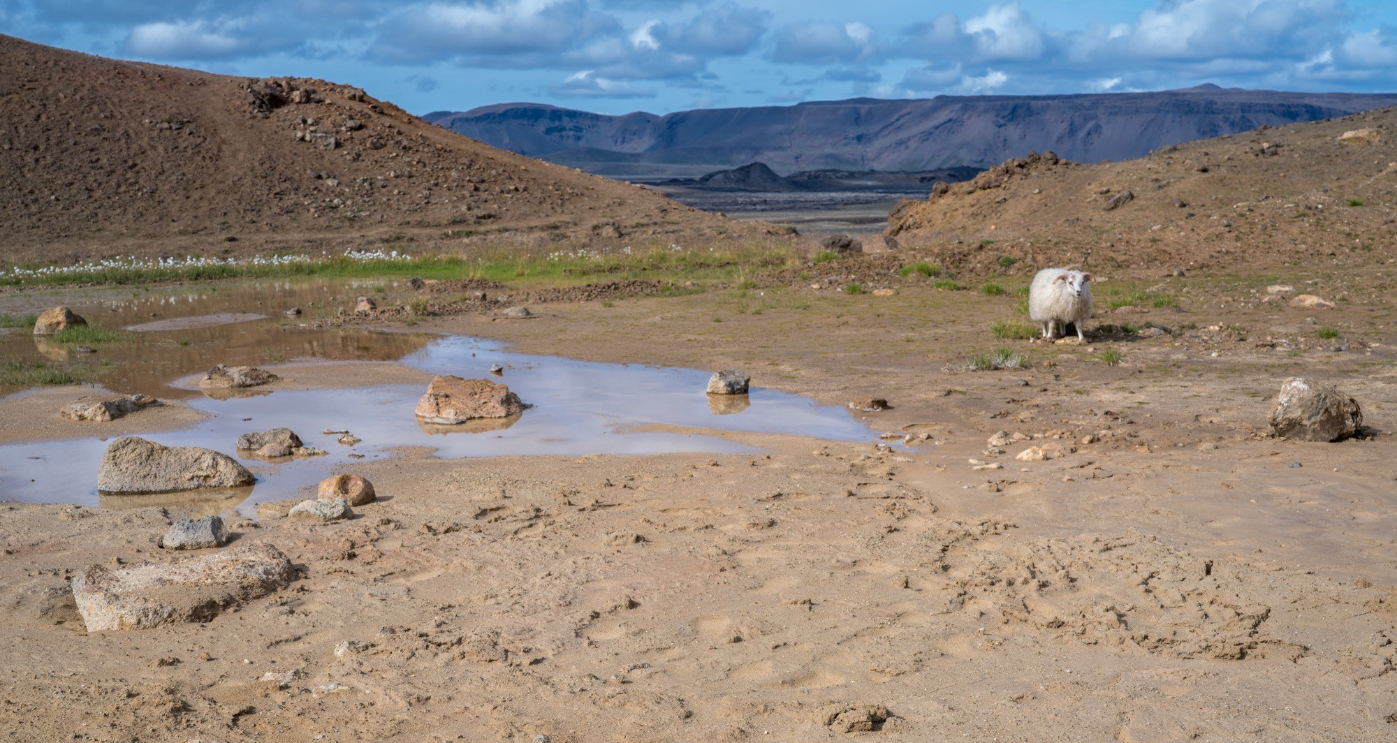 Исландия (август 2018). Фотограф Сергей Танков