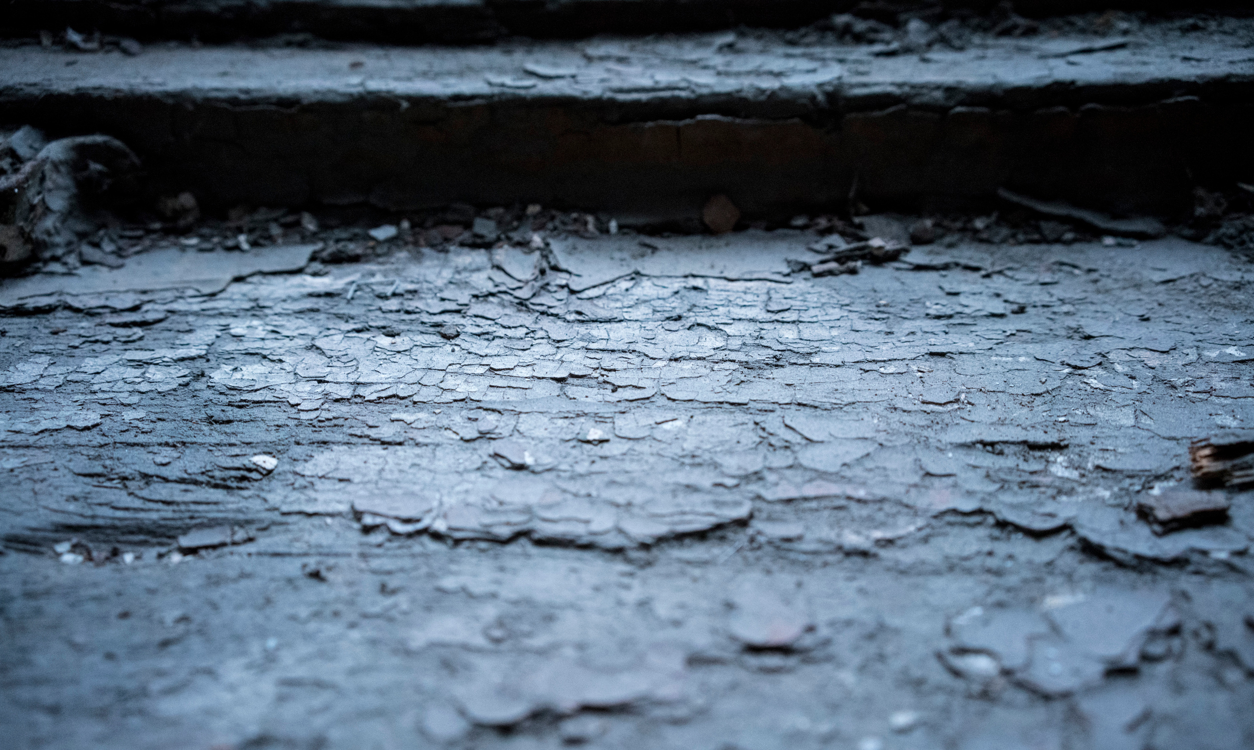 Питер. Парадные (октябрь 2017). Фотограф Сергей Танков