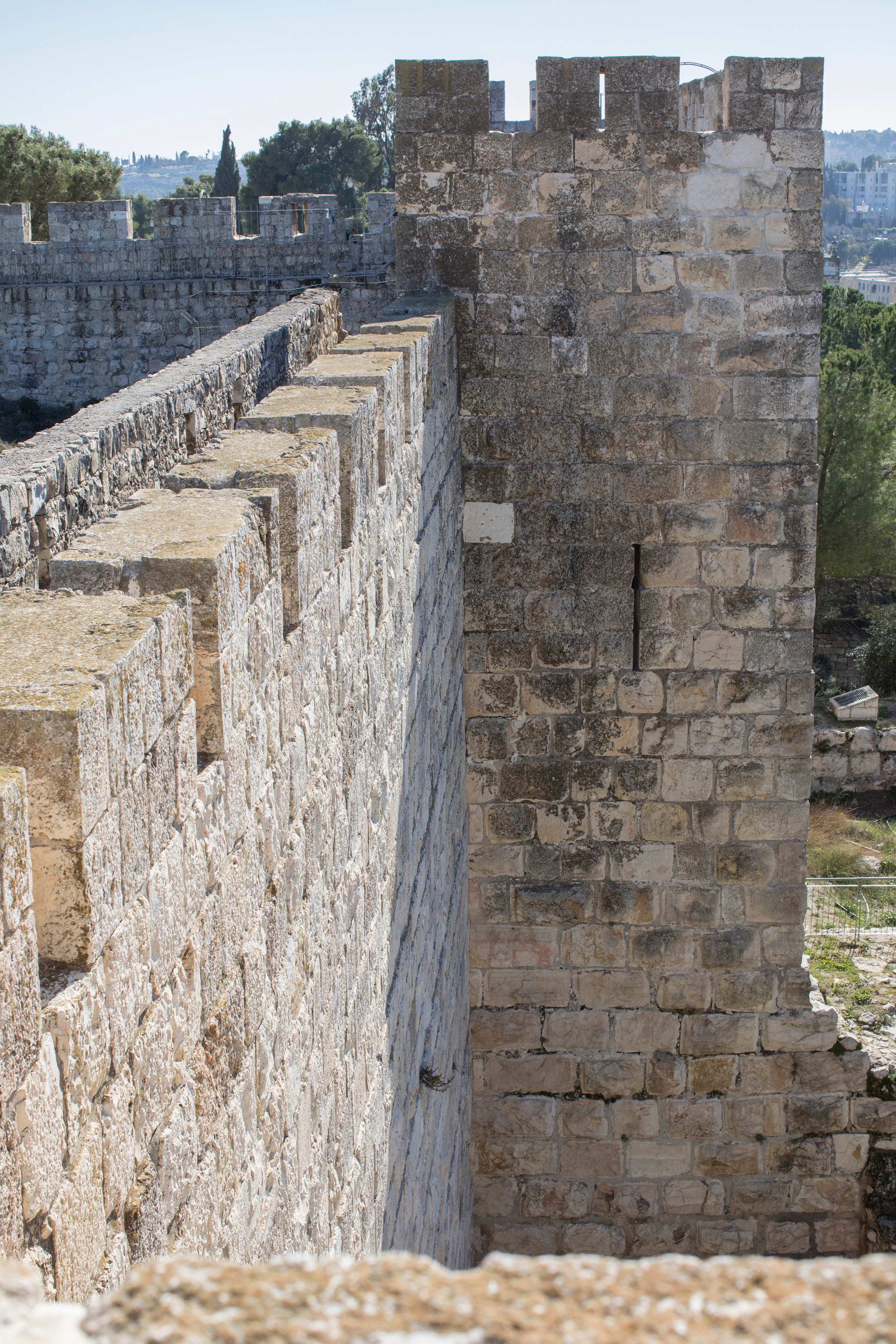 Израиль (январь 2017). Фотограф Сергей Танков