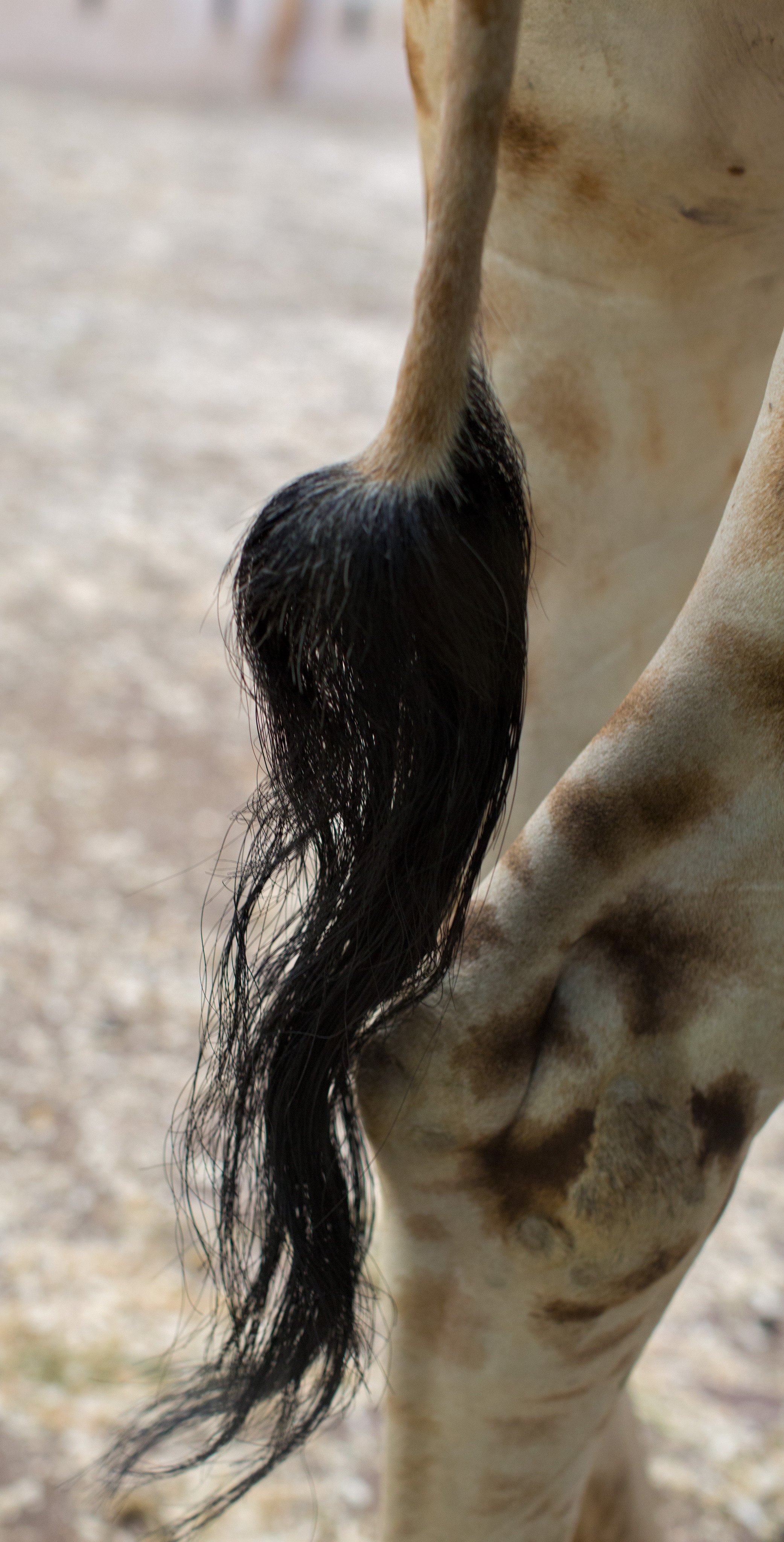 Прага (декабрь 2013). Фотограф Сергей Танков