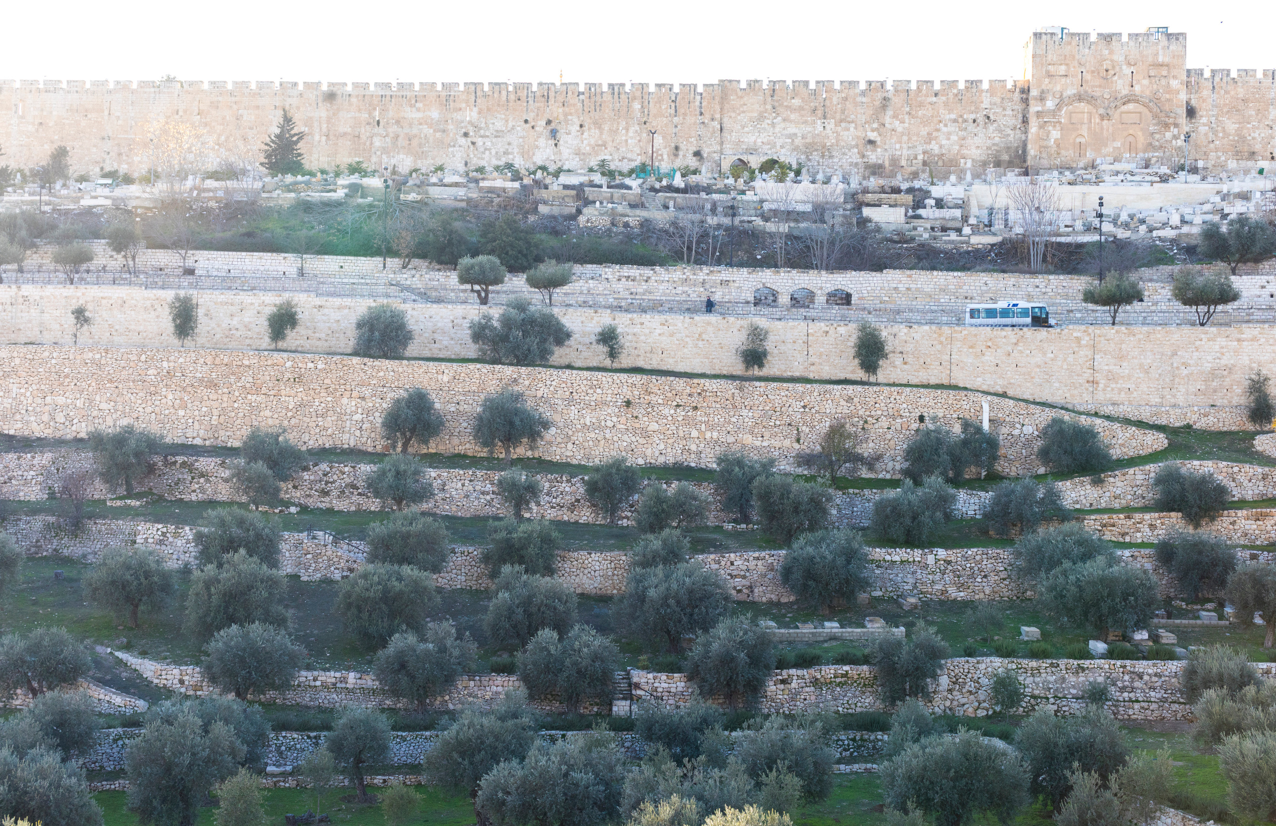 Израиль (январь 2017). Фотограф Сергей Танков