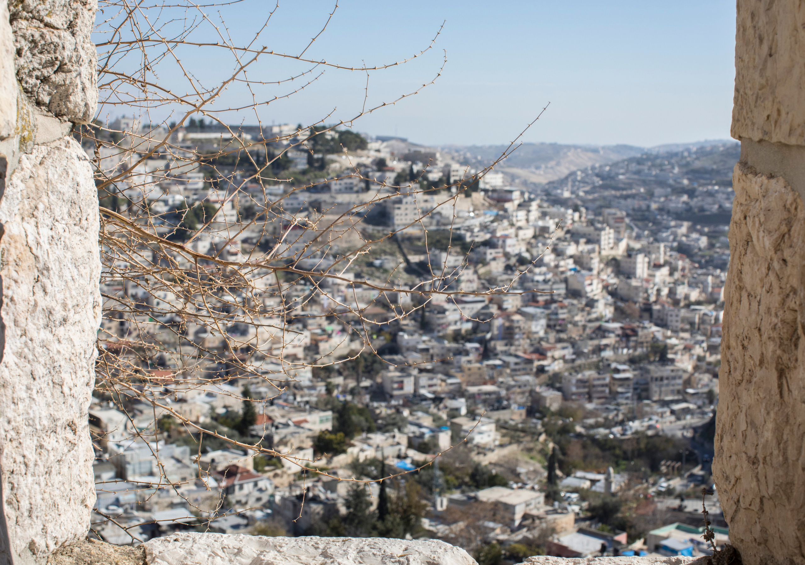 Израиль (январь 2017). Фотограф Сергей Танков