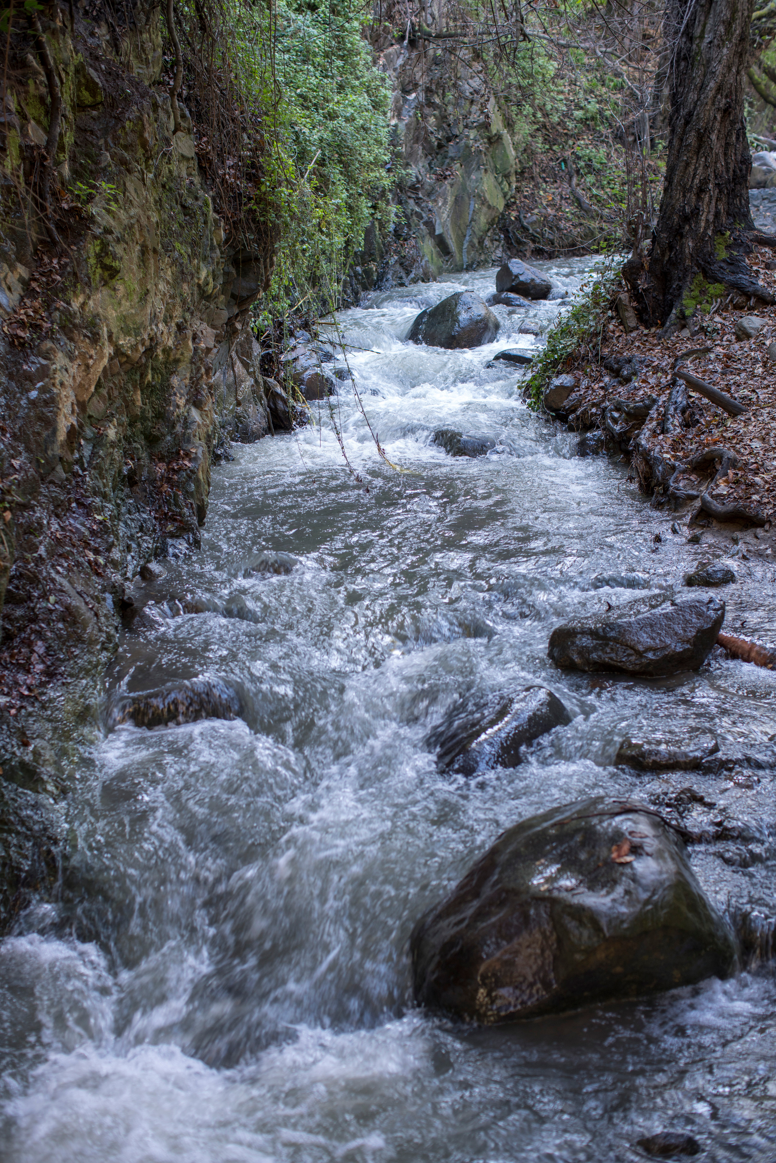 Кипр (январь 2018). Фотограф Сергей Танков