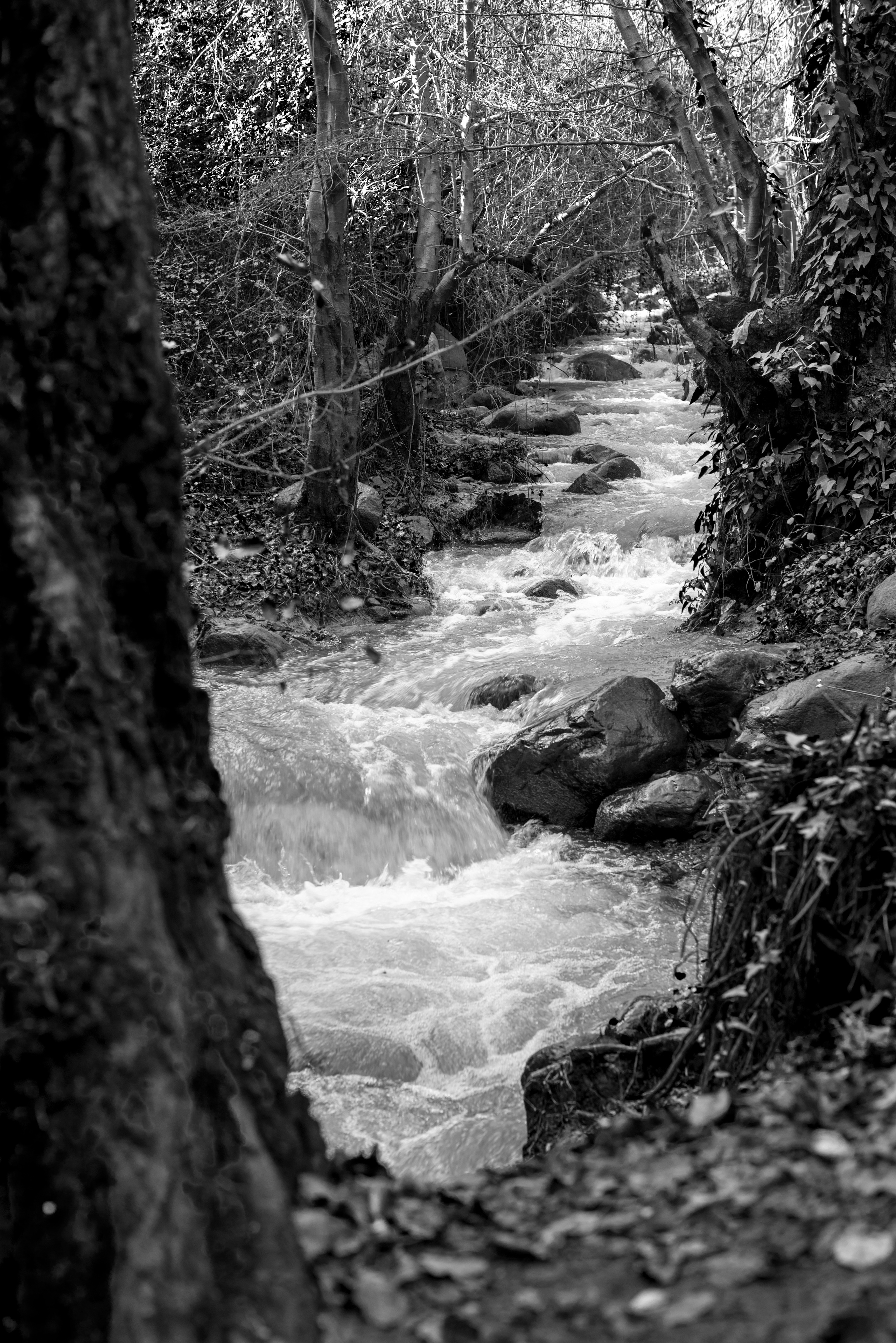 Кипр (январь 2018). Фотограф Сергей Танков