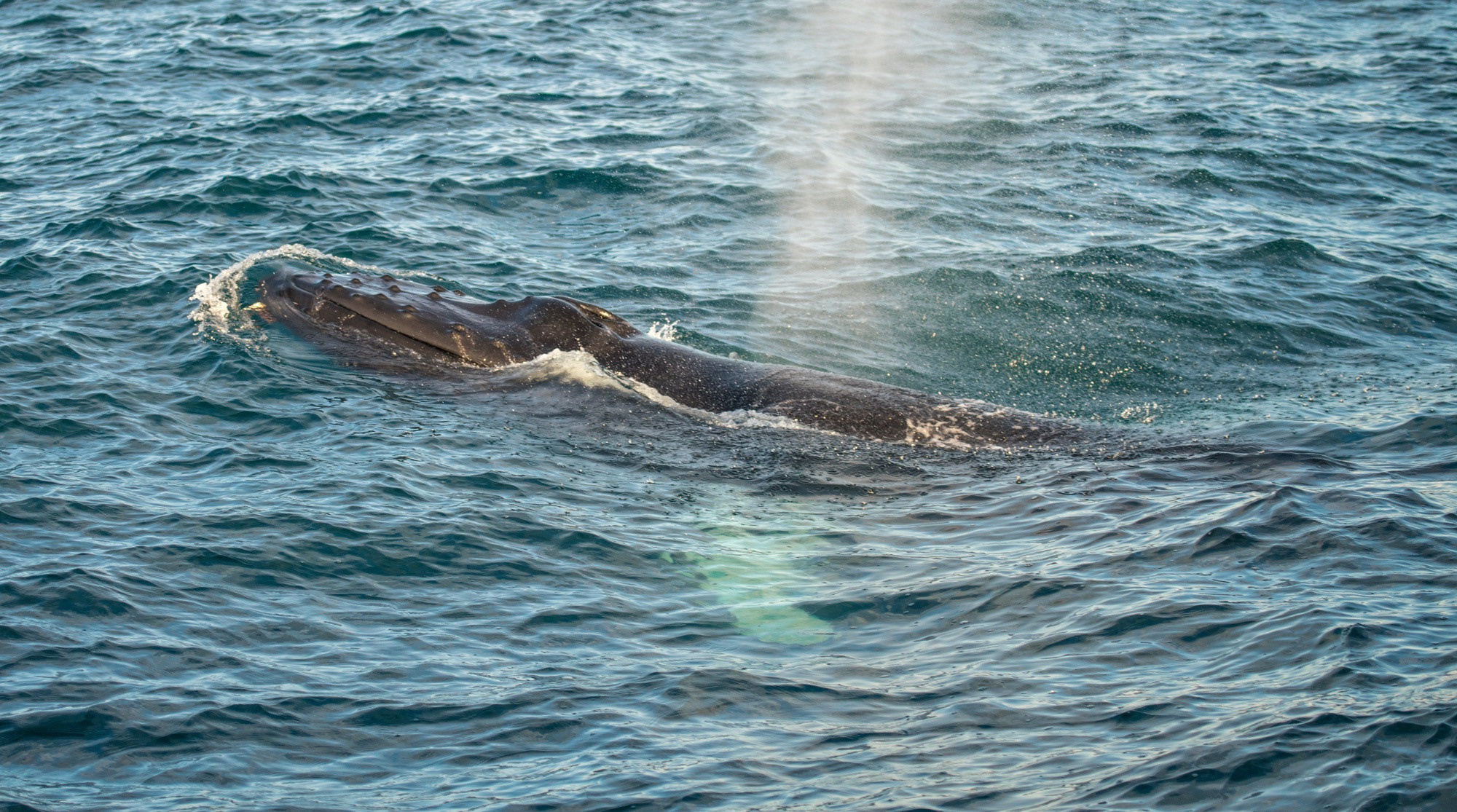 Исландия (август 2018). Фотограф Сергей Танков