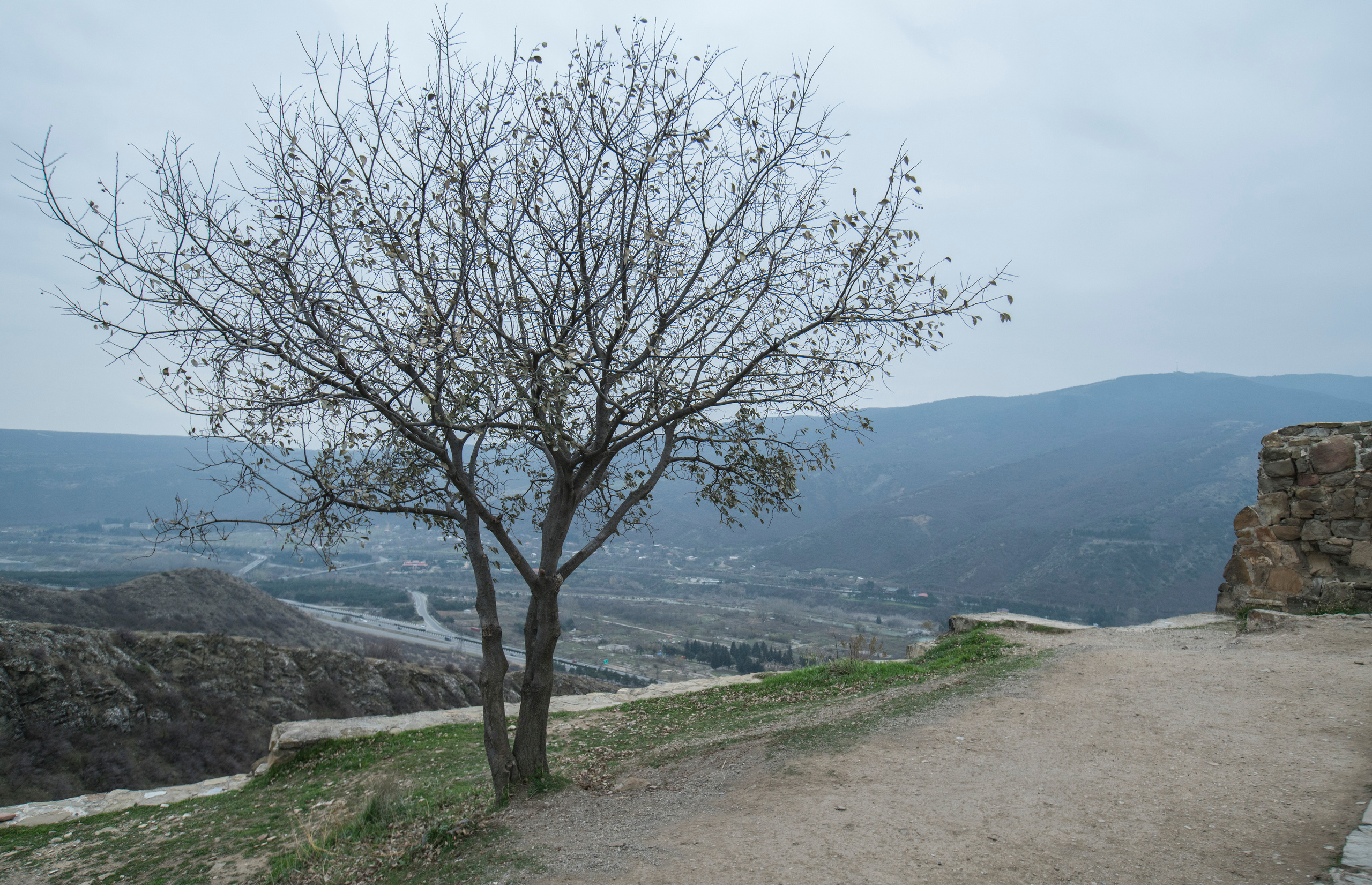 Грузия (декабрь 2017). Фотограф Сергей Танков