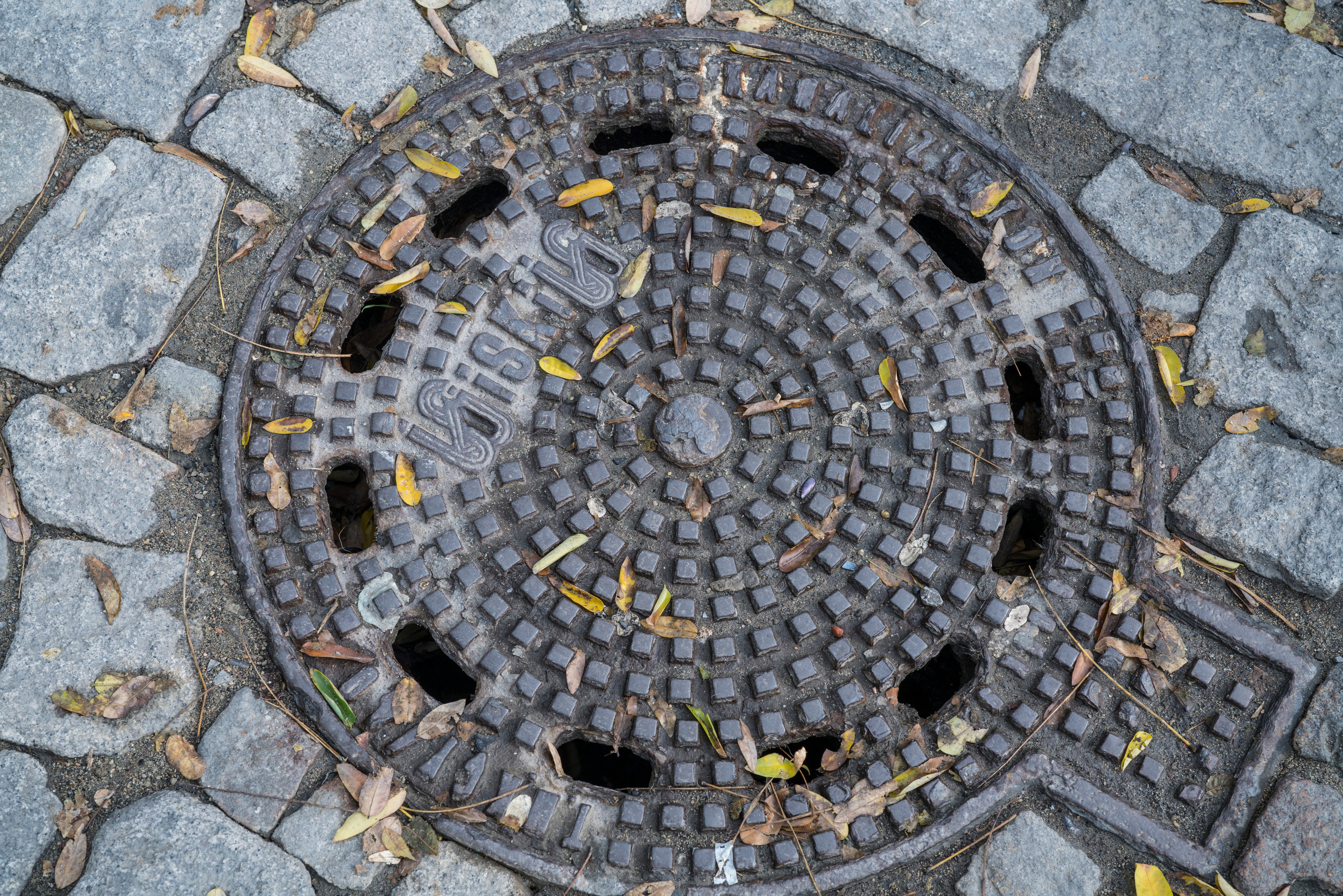 Стамбул (ноябрь 2018). Фотограф Сергей Танков