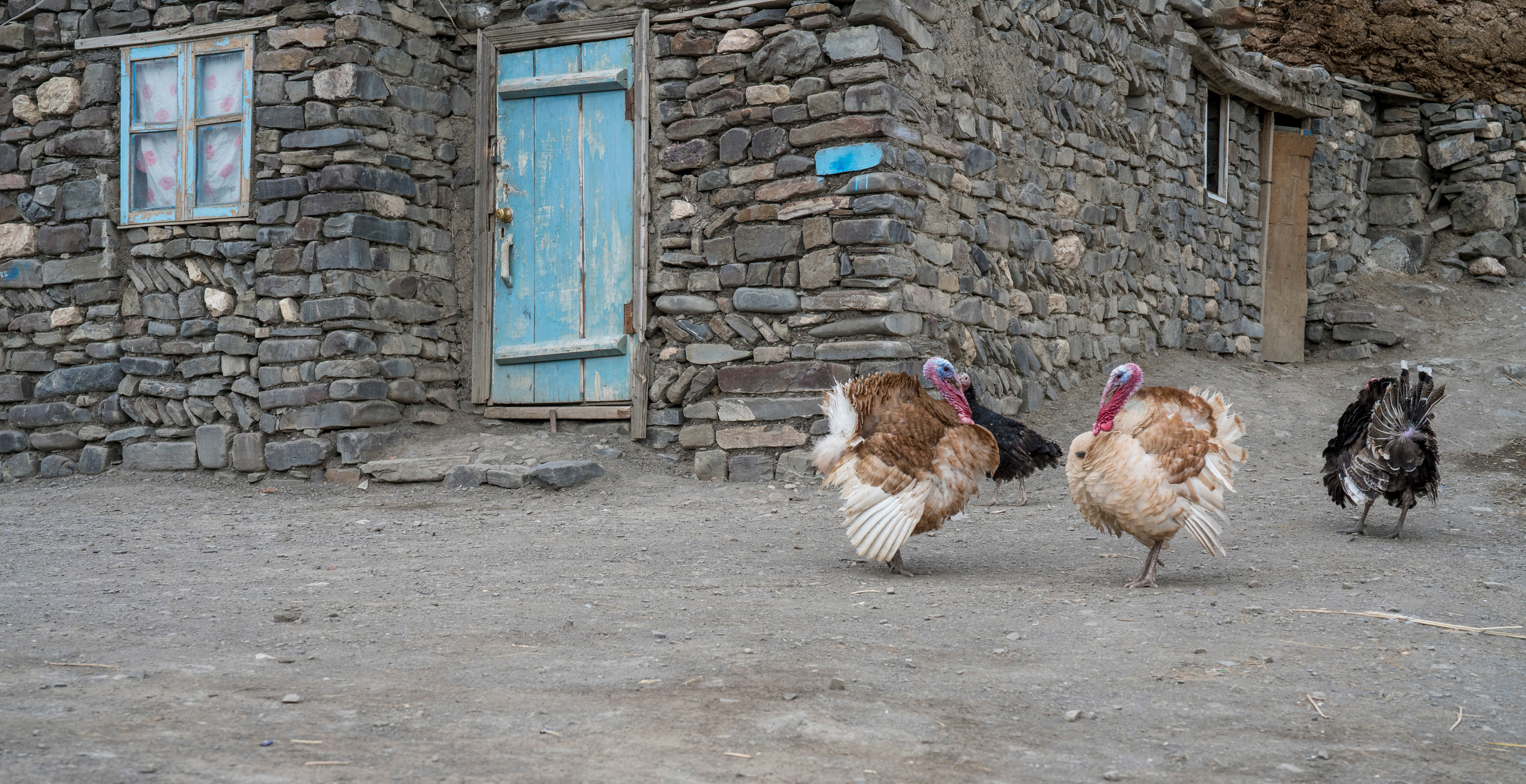 Азербайджан (апрель 2018). Фотограф Сергей Танков