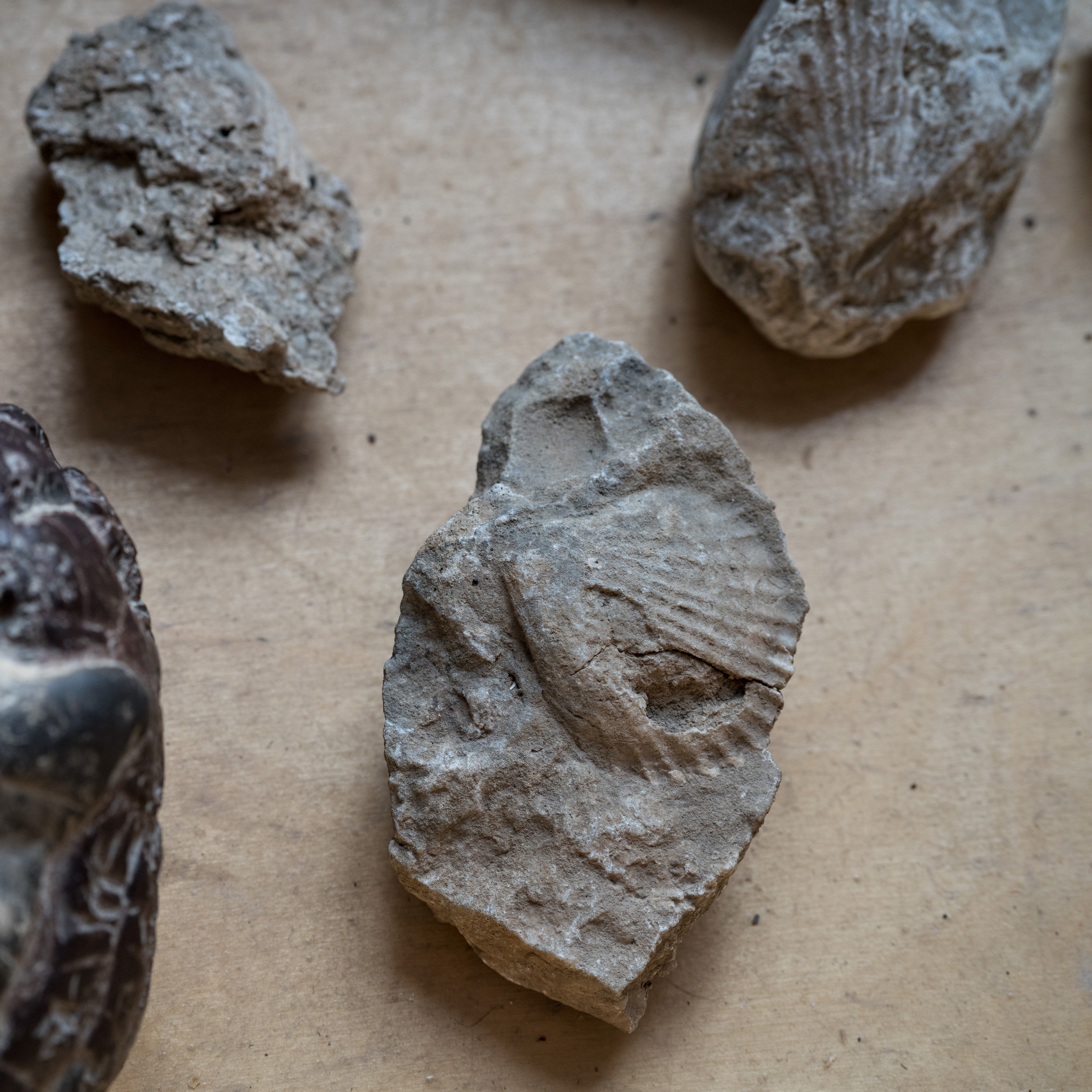 Азербайджан (апрель 2018). Фотограф Сергей Танков