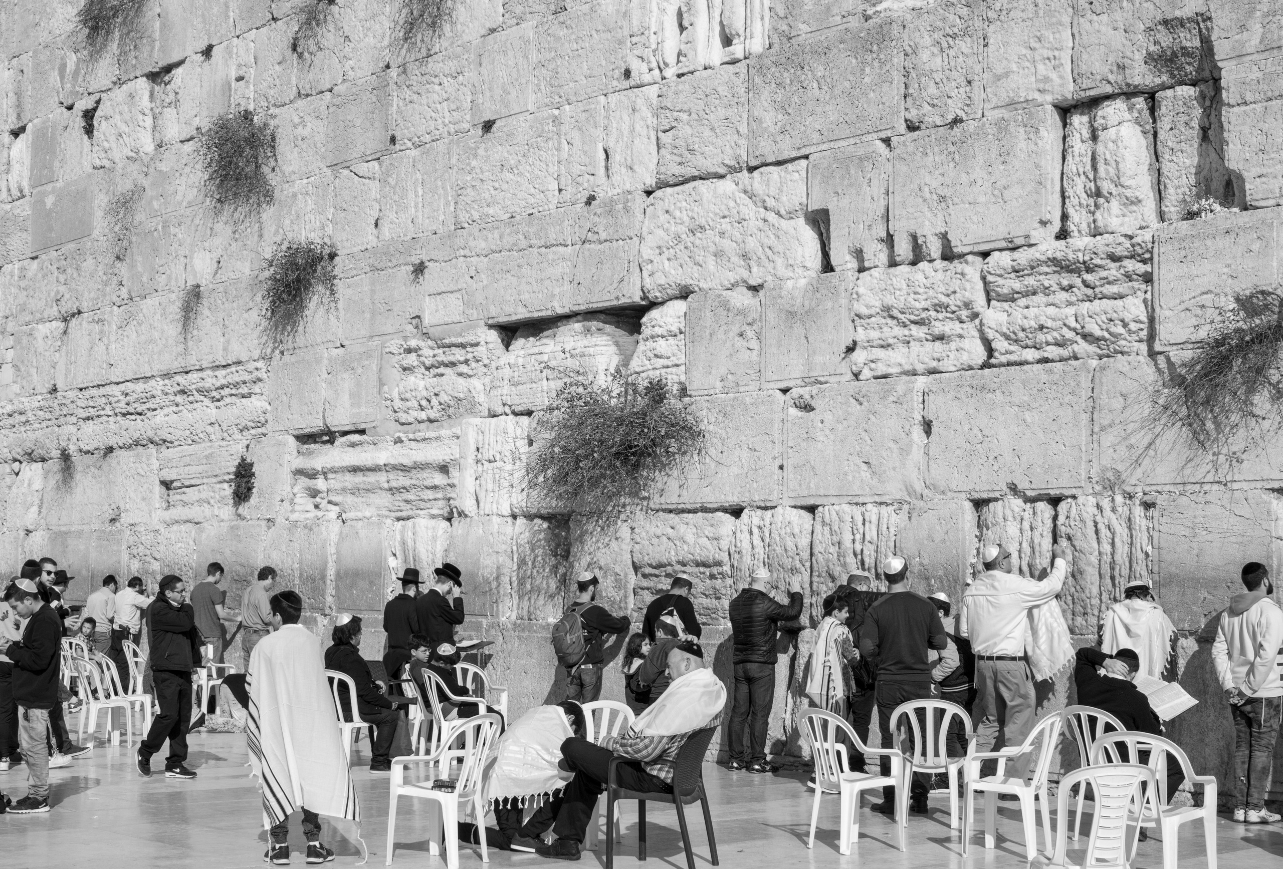 Израиль (январь 2017). Фотограф Сергей Танков