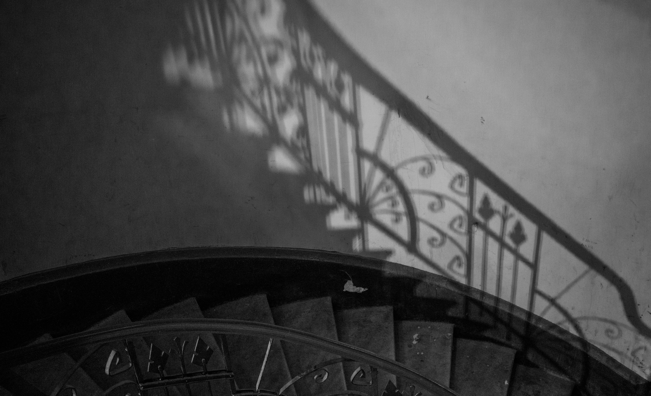 Питер. Парадные (октябрь 2017). Фотограф Сергей Танков