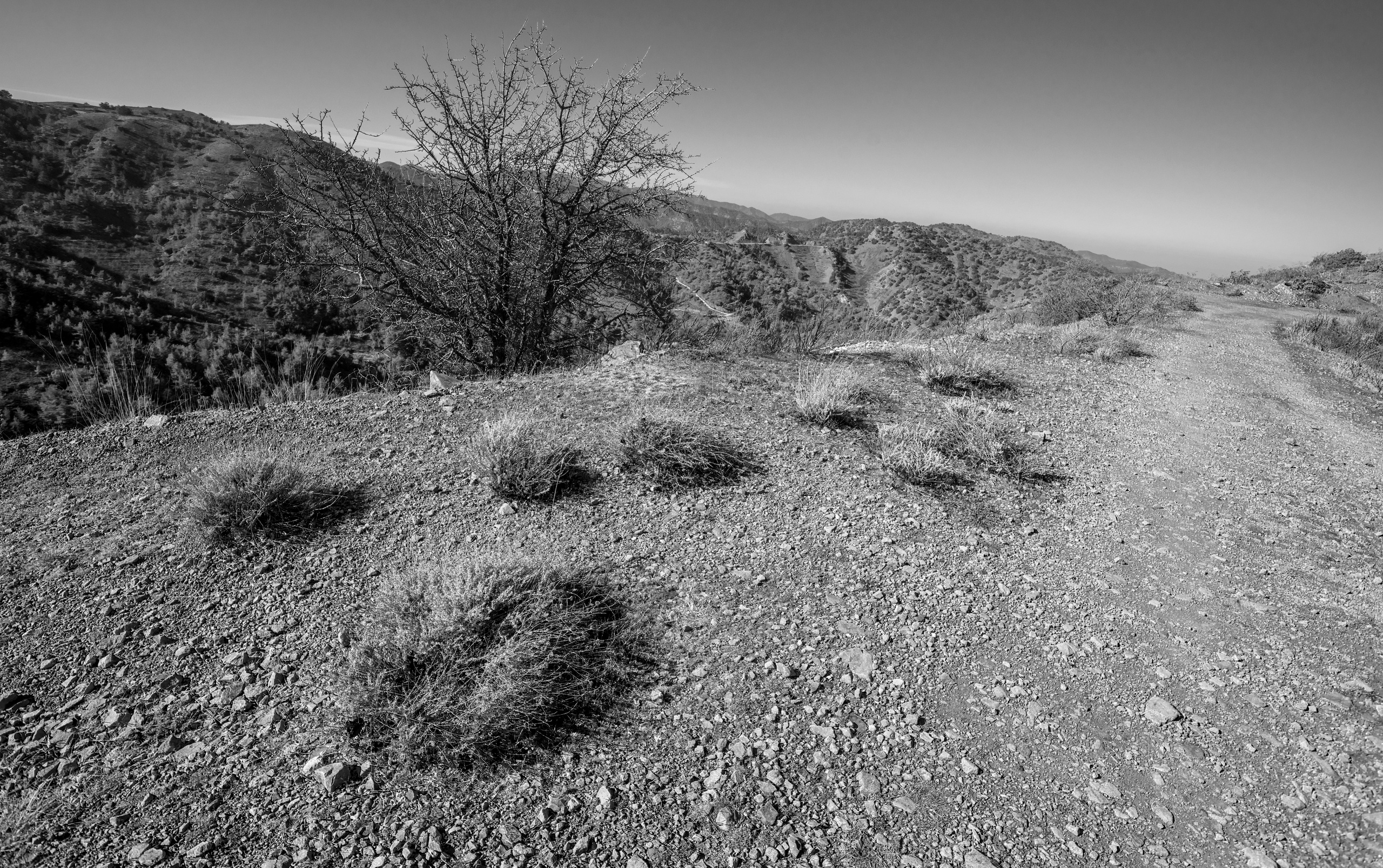 Кипр (январь 2018). Фотограф Сергей Танков