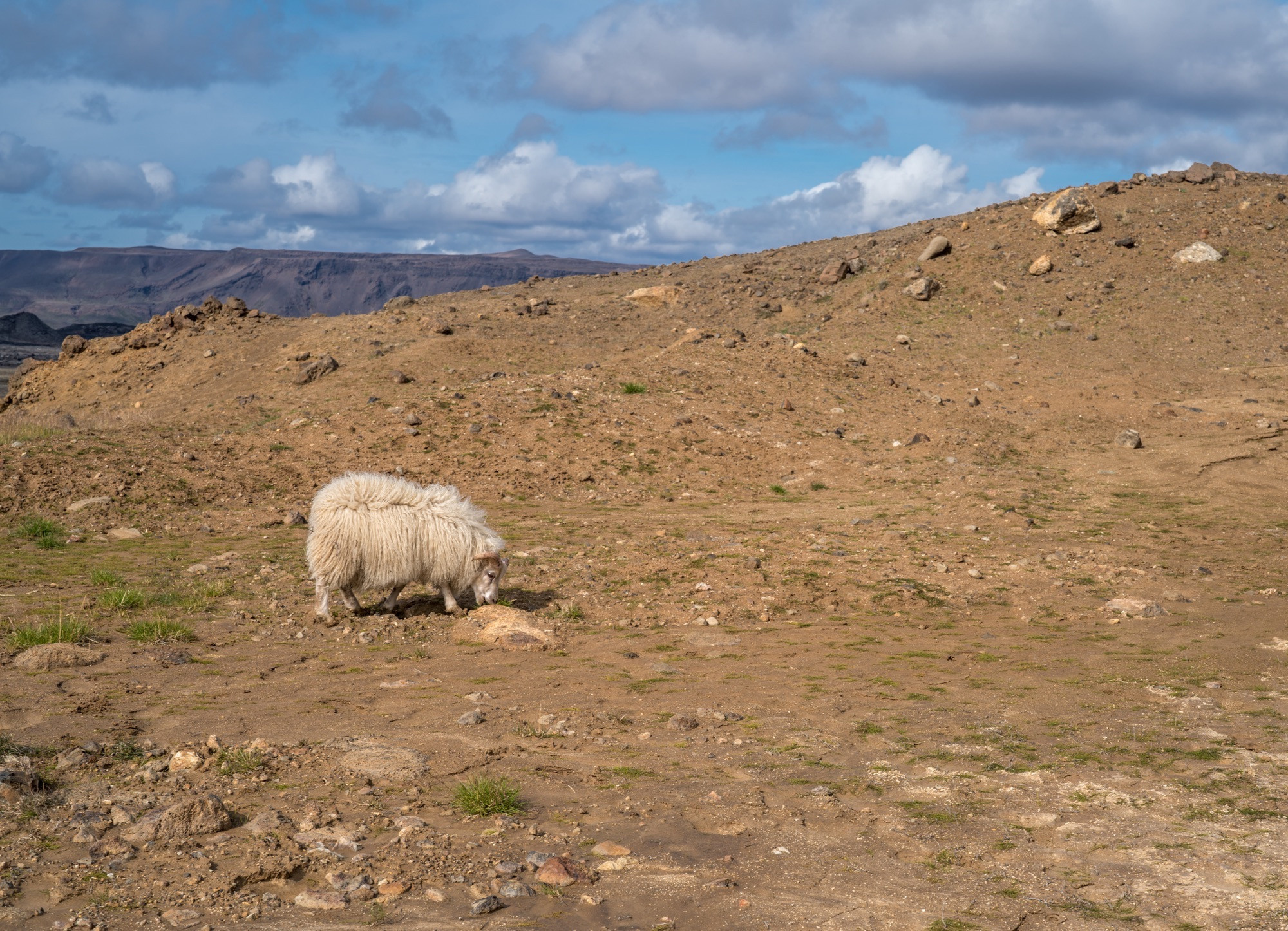 Исландия (август 2018). Фотограф Сергей Танков