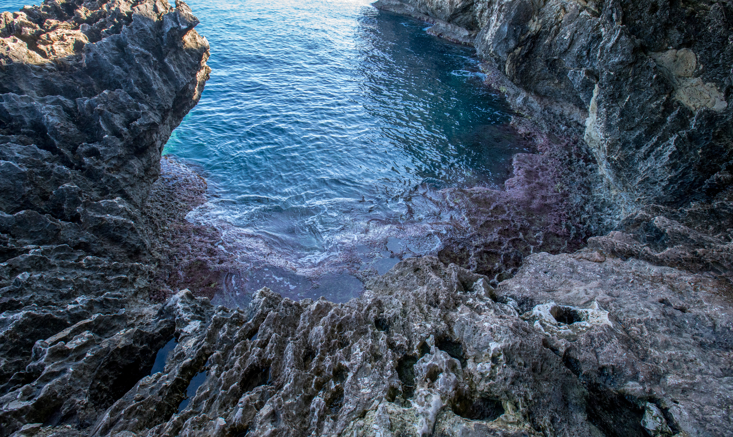 Кипр (январь 2018). Фотограф Сергей Танков