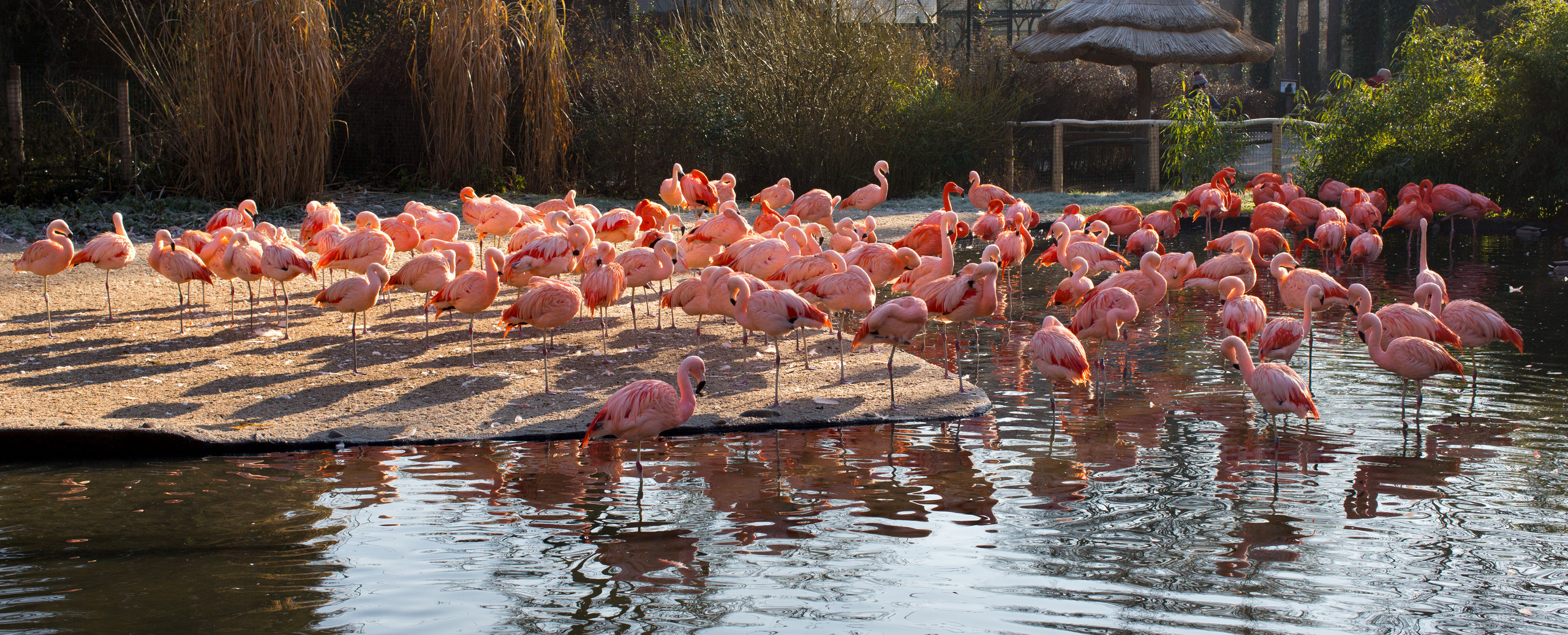 Прага (декабрь 2013). Фотограф Сергей Танков