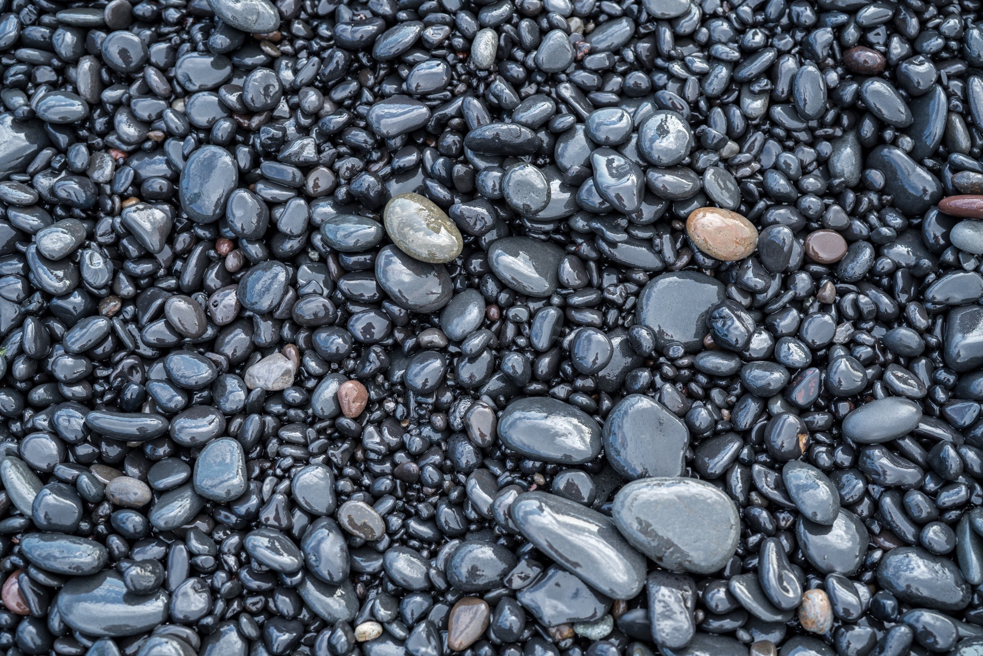 Исландия (август 2018). Фотограф Сергей Танков