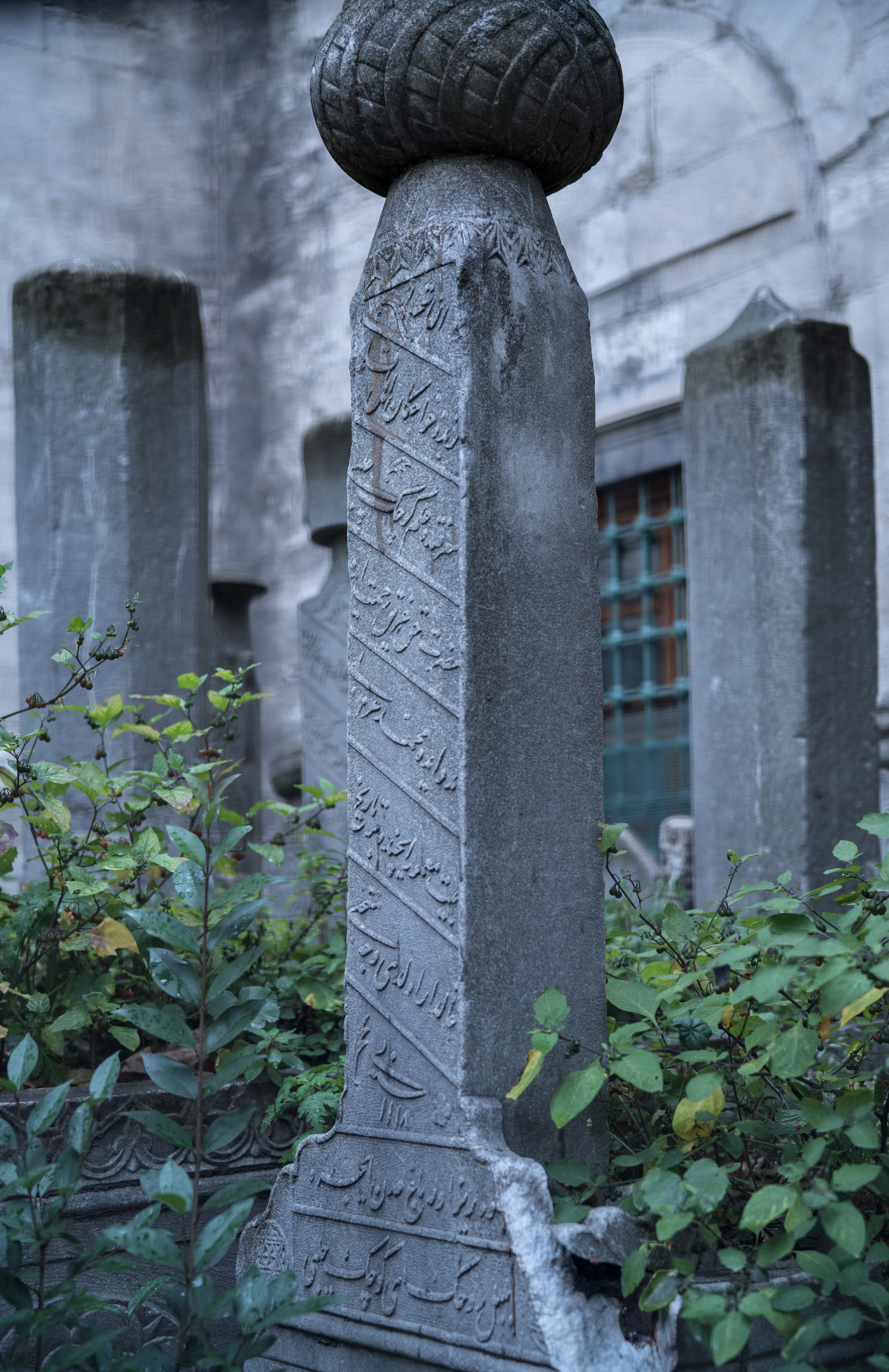 Стамбул (ноябрь 2018). Фотограф Сергей Танков