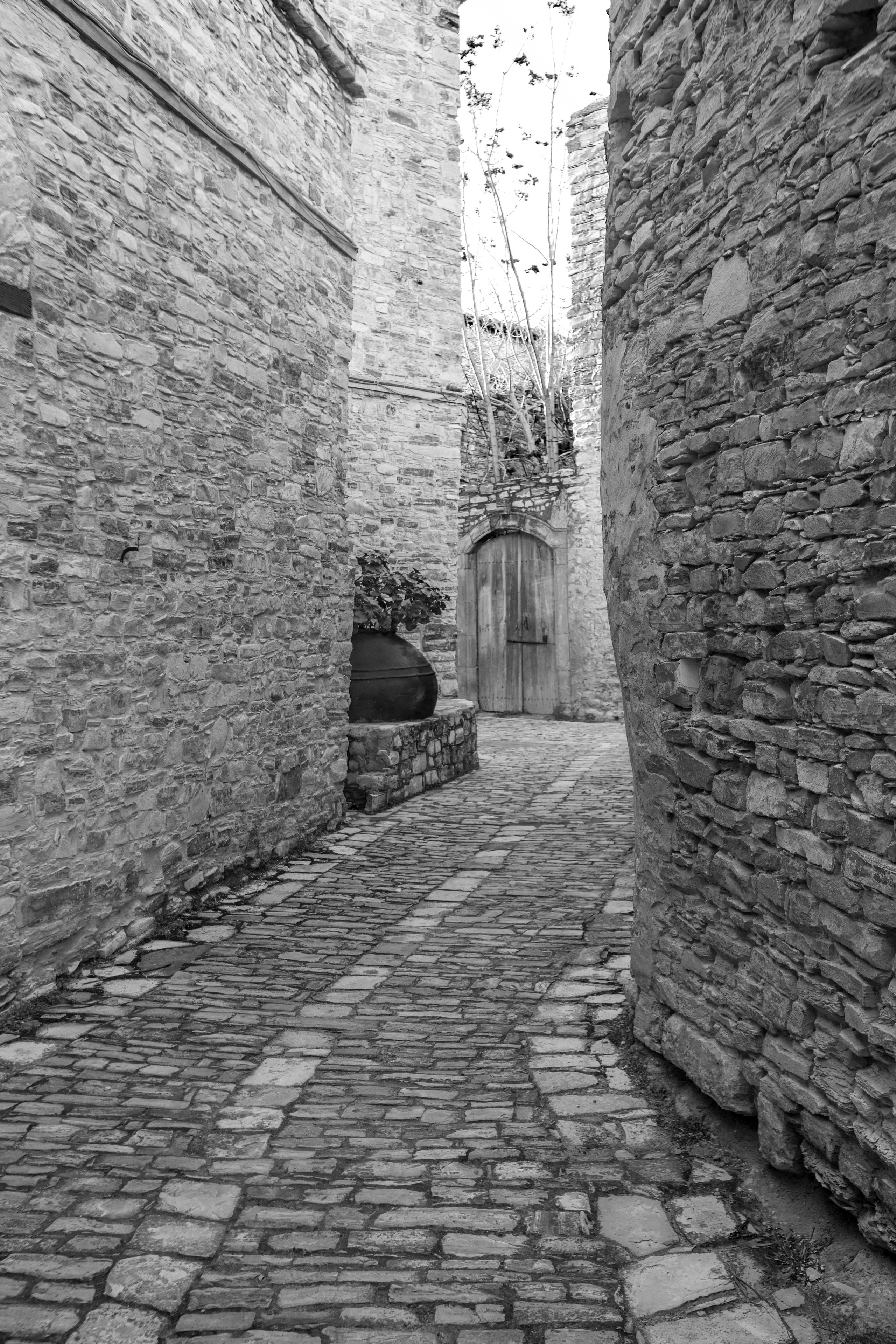 Кипр (январь 2018). Фотограф Сергей Танков