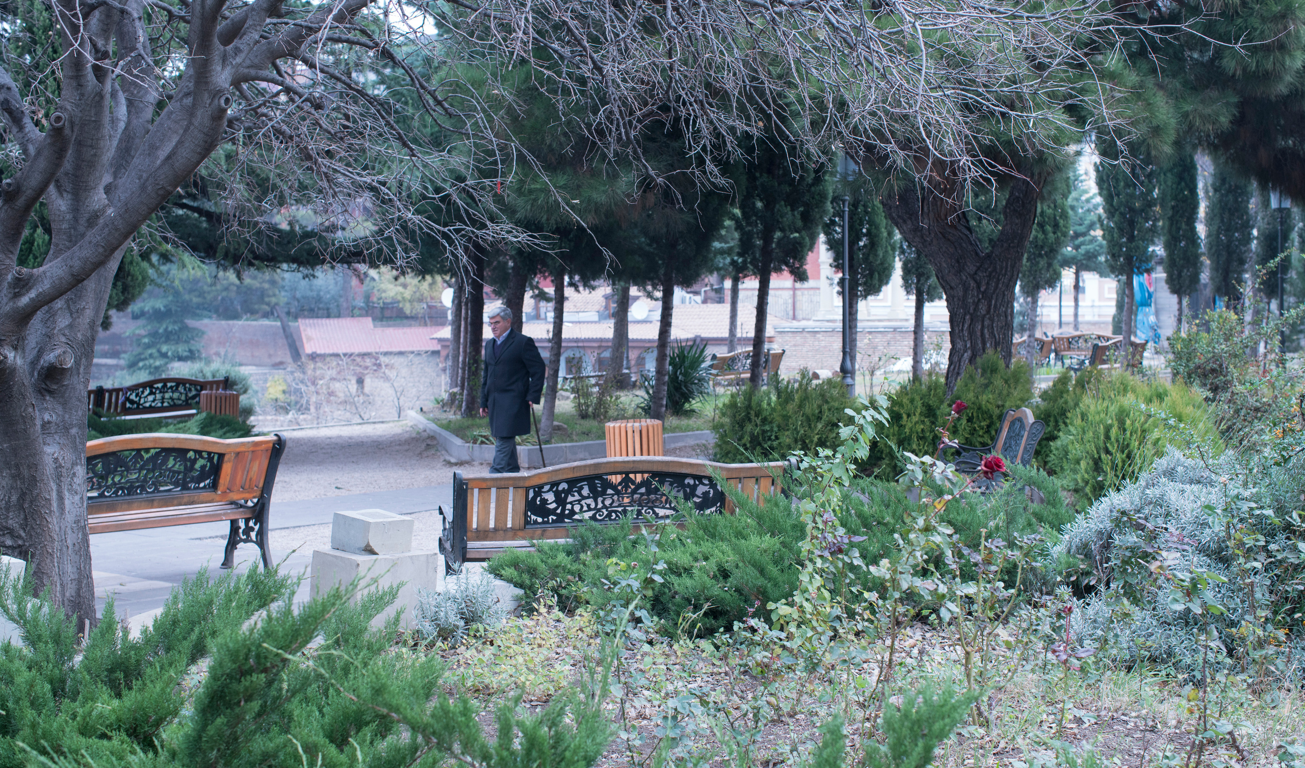 Грузия (декабрь 2017). Фотограф Сергей Танков