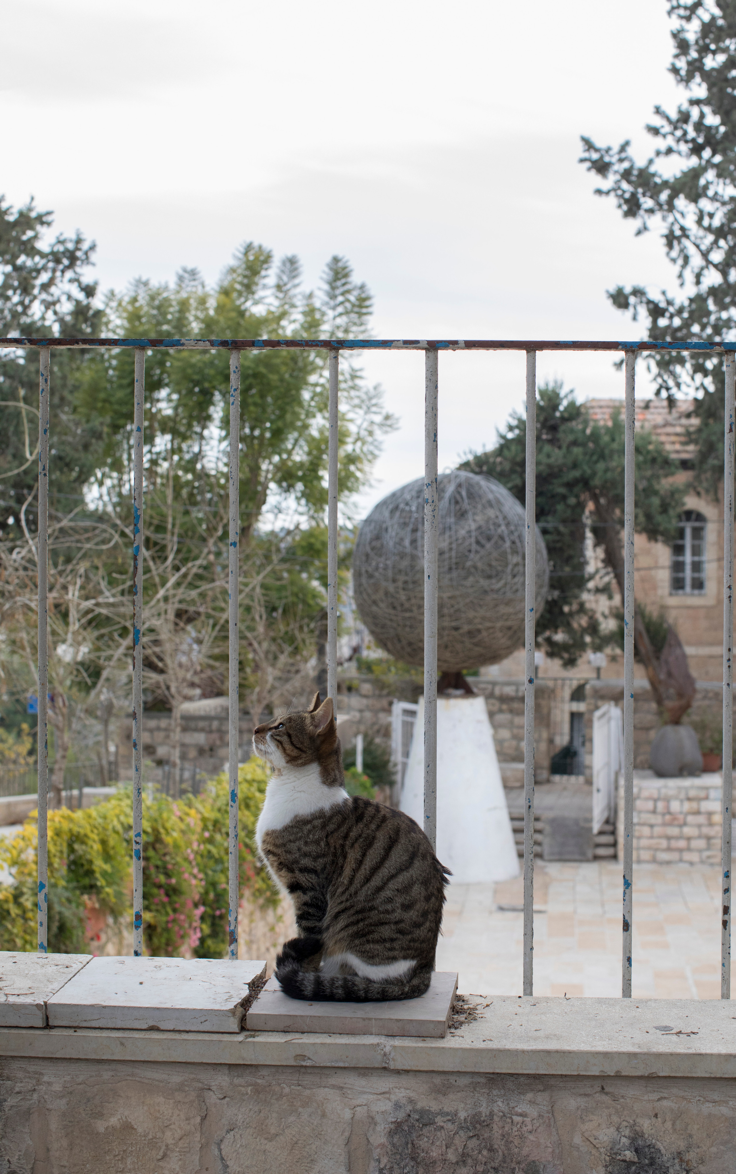 Израиль (январь 2017). Фотограф Сергей Танков