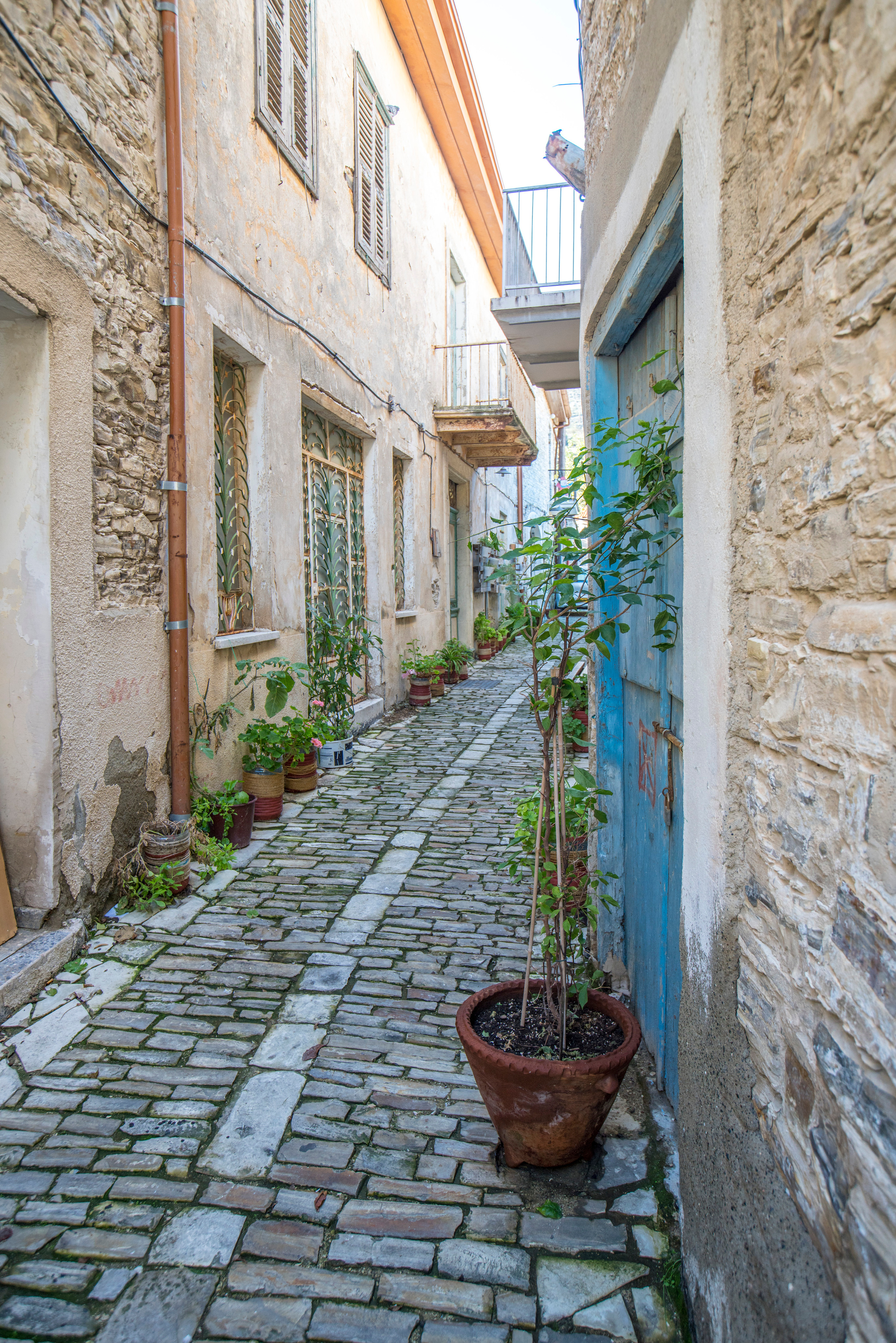 Кипр (январь 2018). Фотограф Сергей Танков