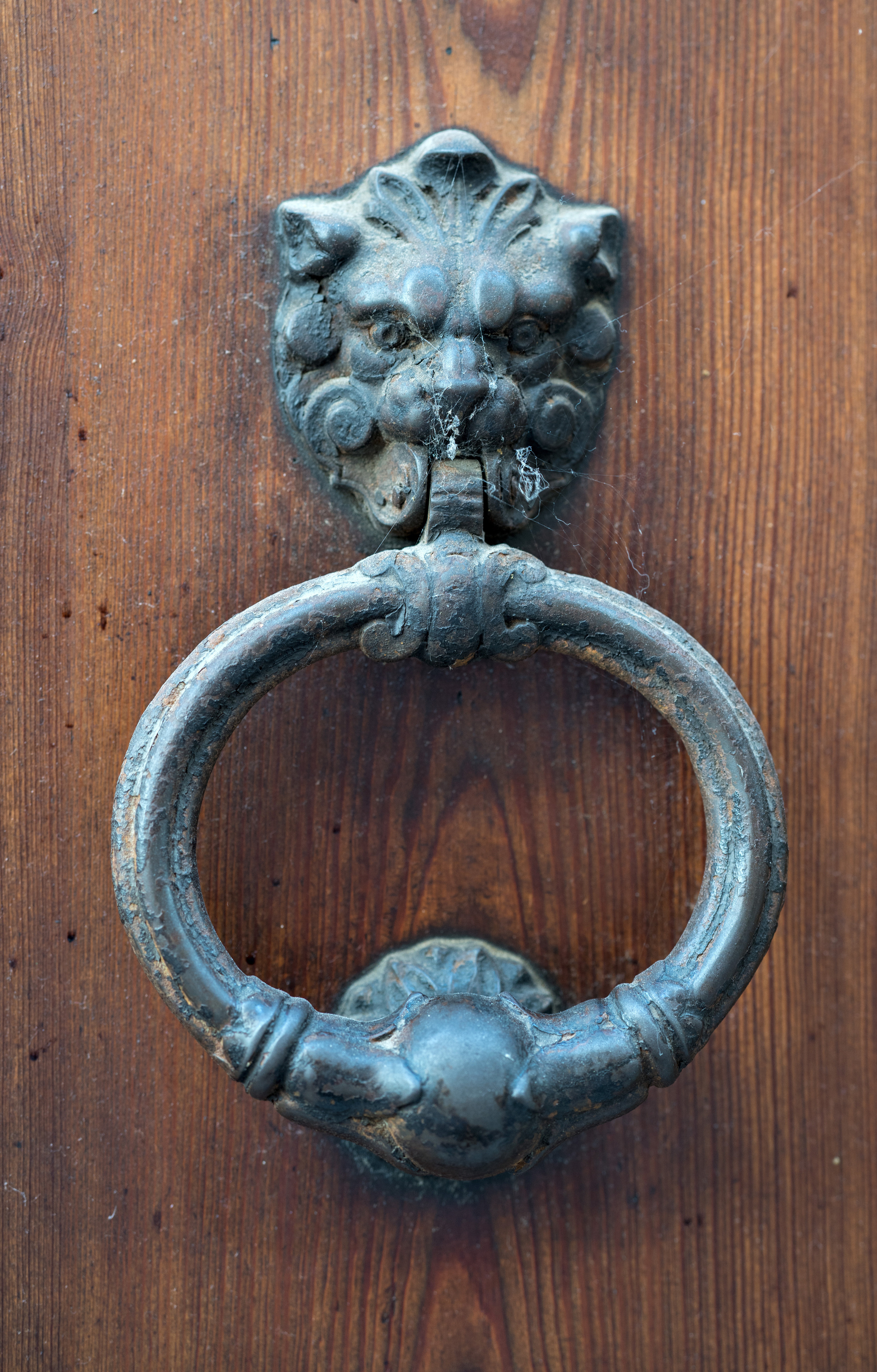 Майорка (июль 2018). Фотограф Сергей Танков