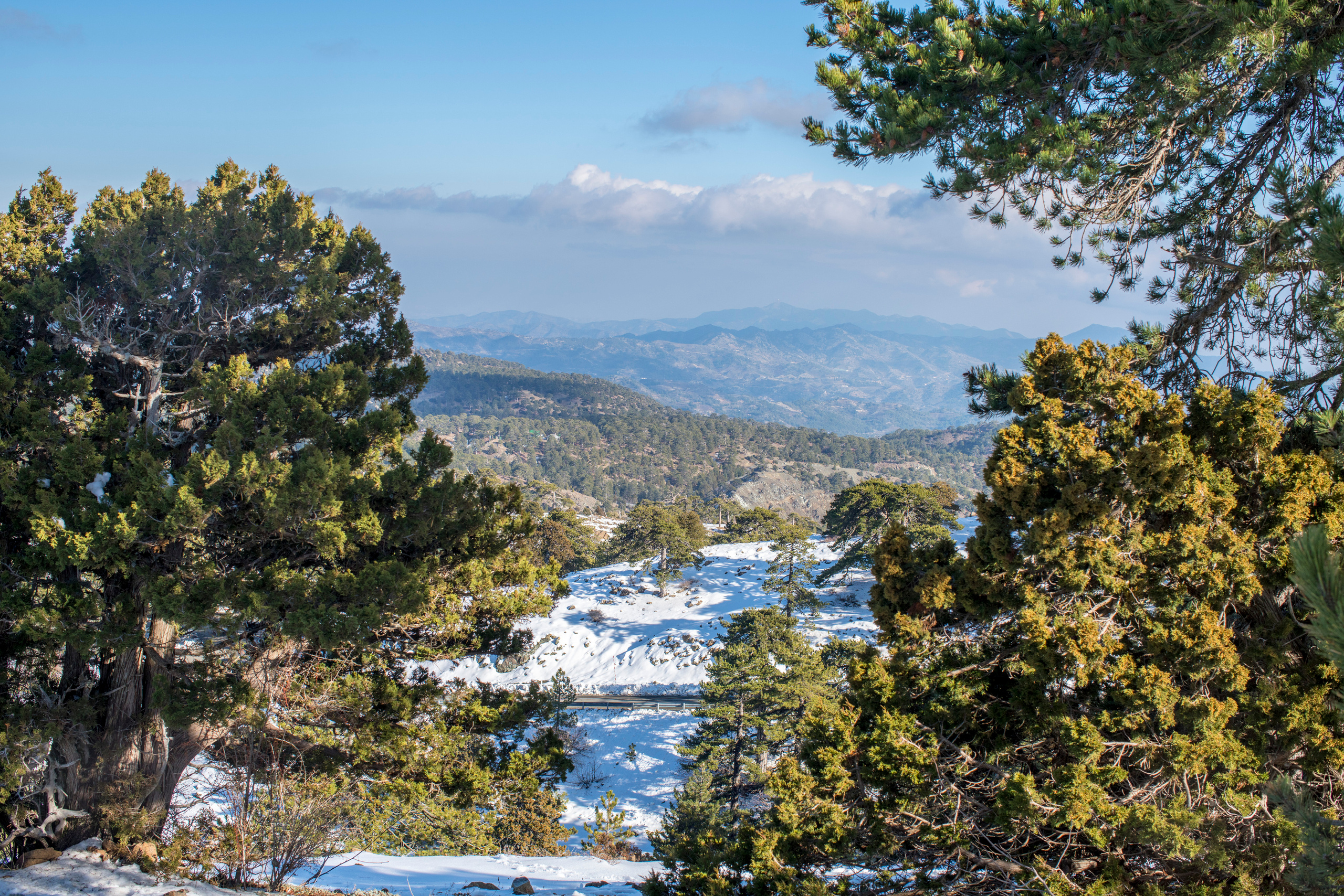 Кипр (январь 2018). Фотограф Сергей Танков