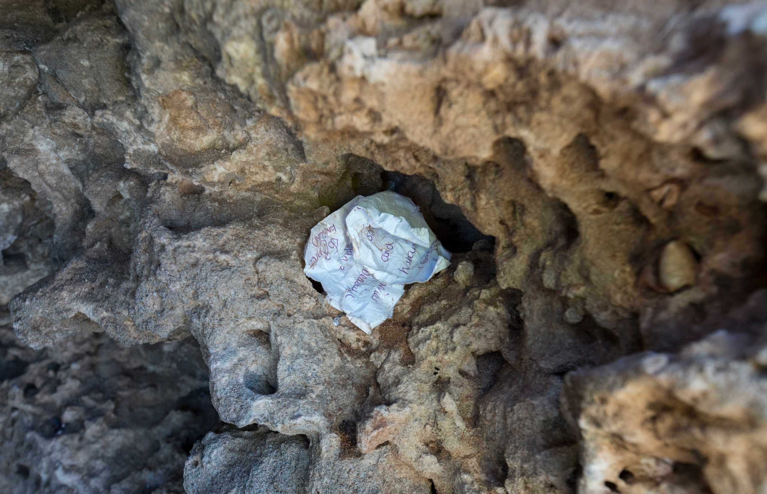 Кипр (январь 2018). Фотограф Сергей Танков