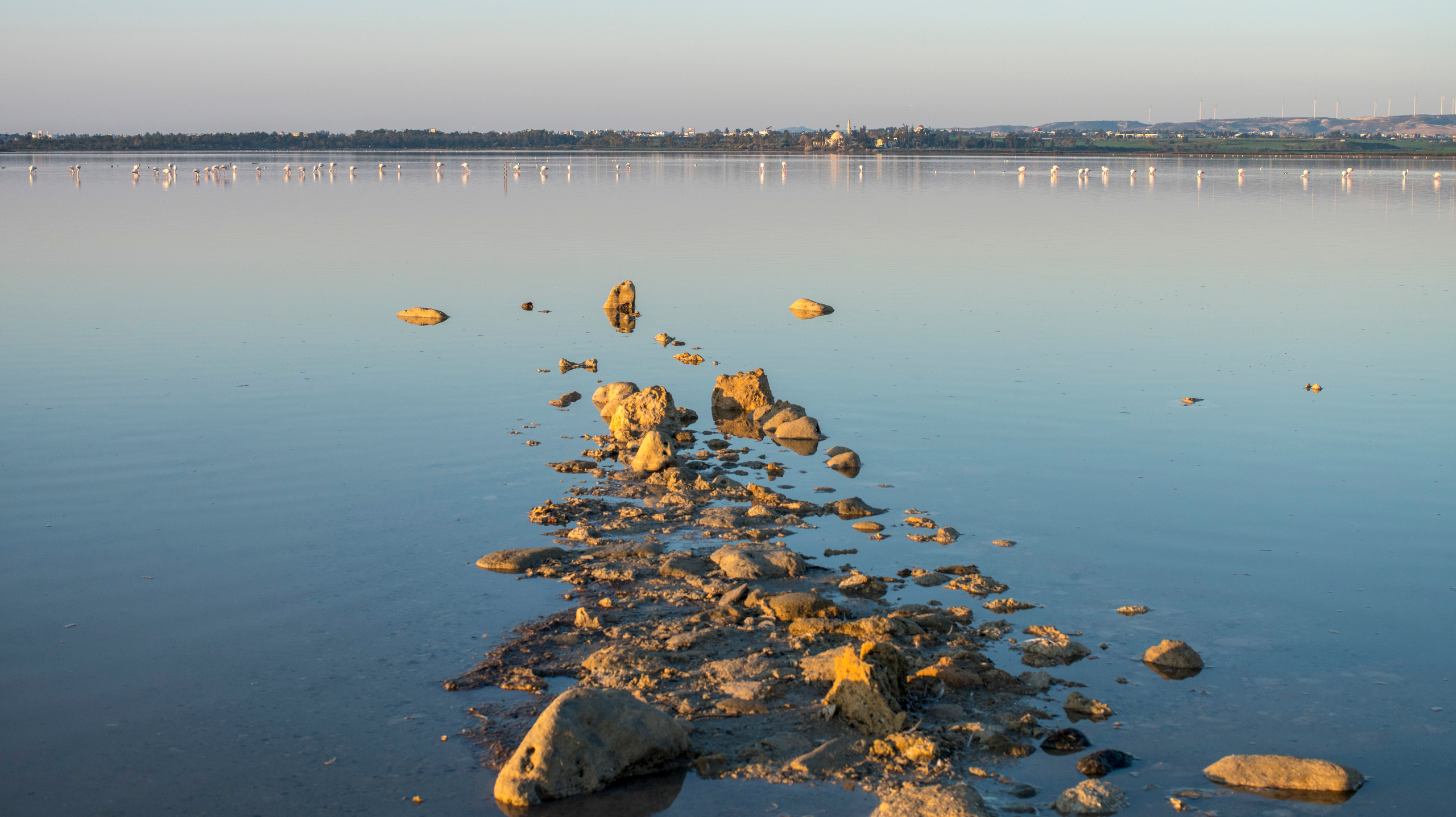 Кипр (январь 2018). Фотограф Сергей Танков