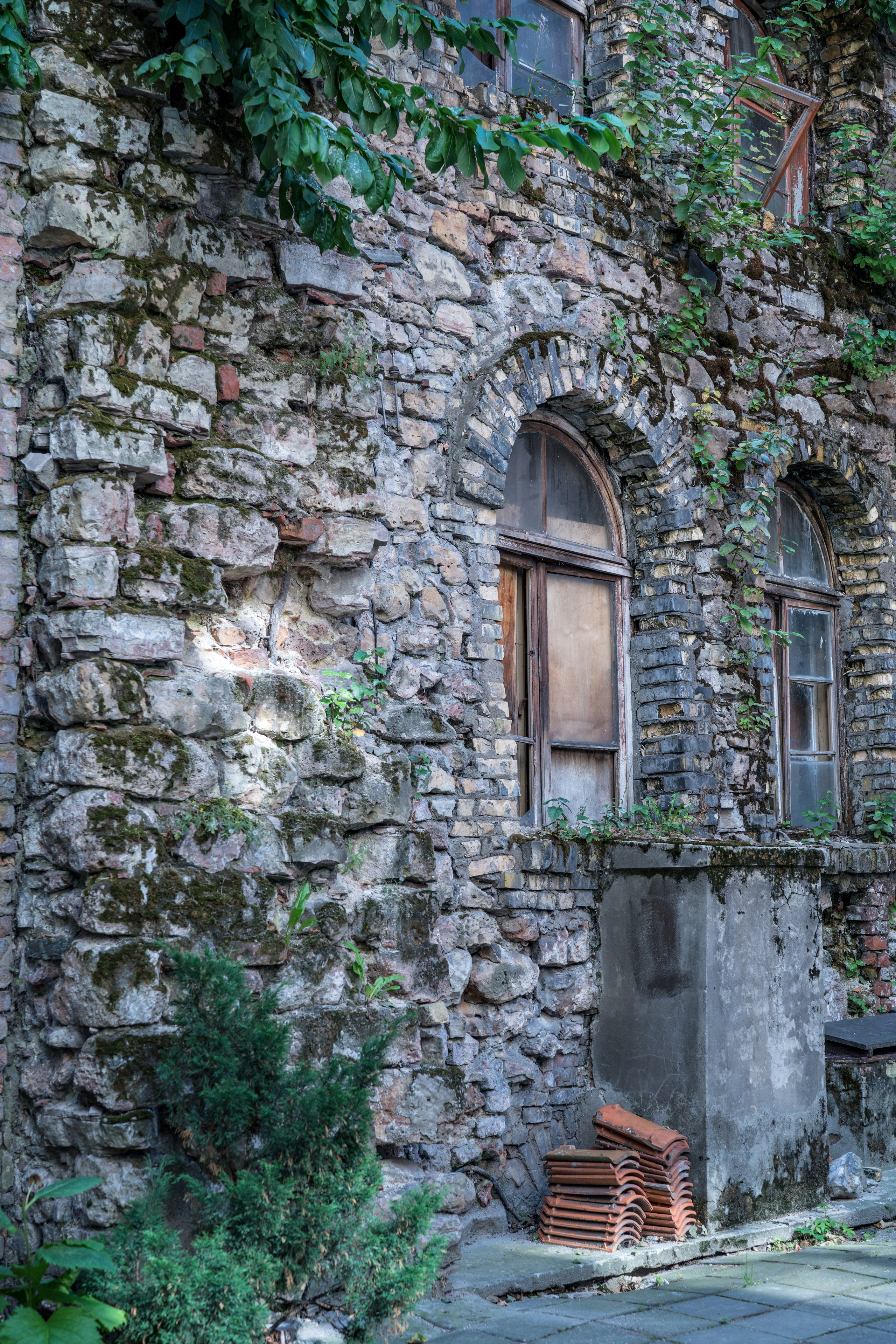 Рига (август 2018). Фотограф Сергей Танков