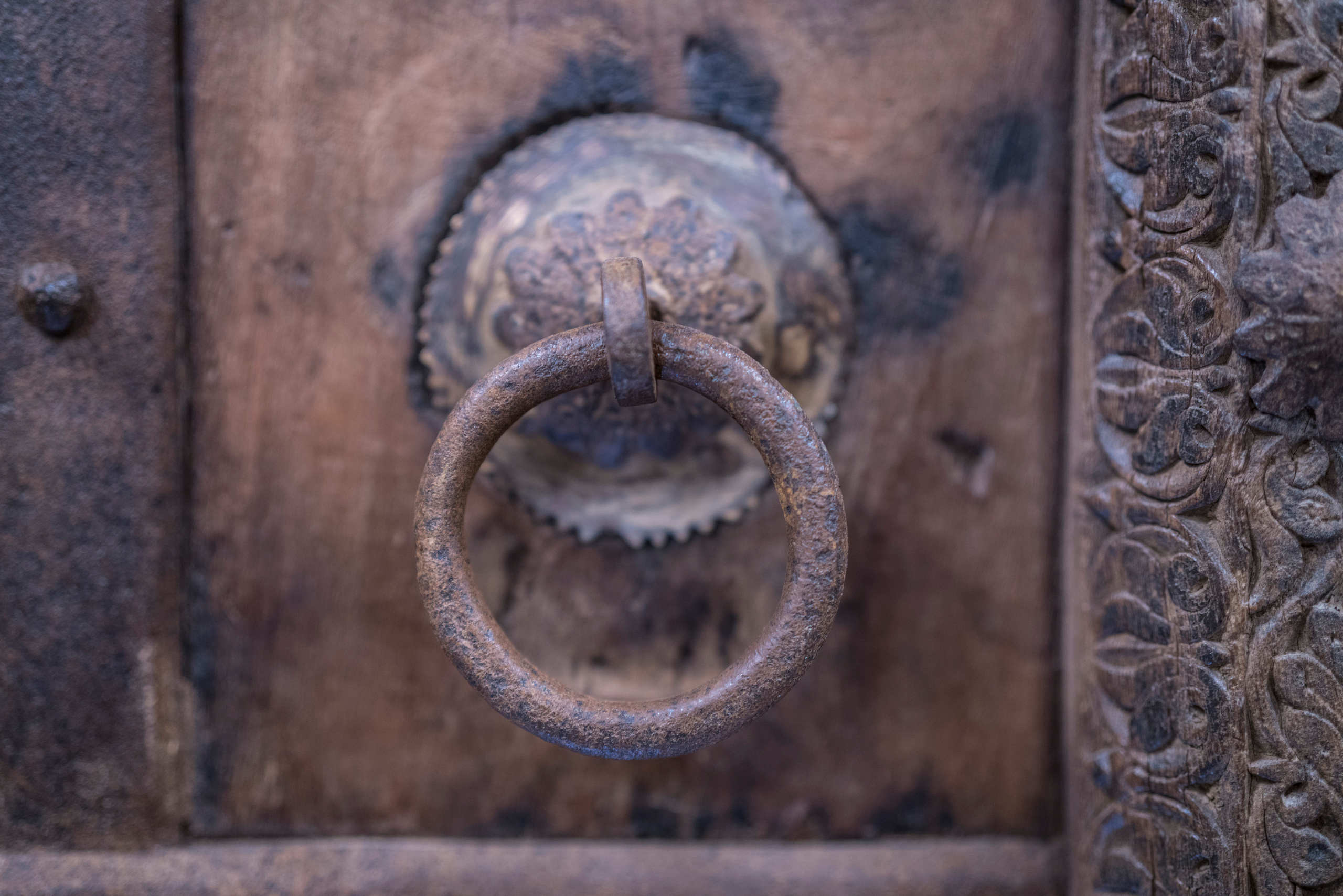 Стамбул (ноябрь 2018). Фотограф Сергей Танков