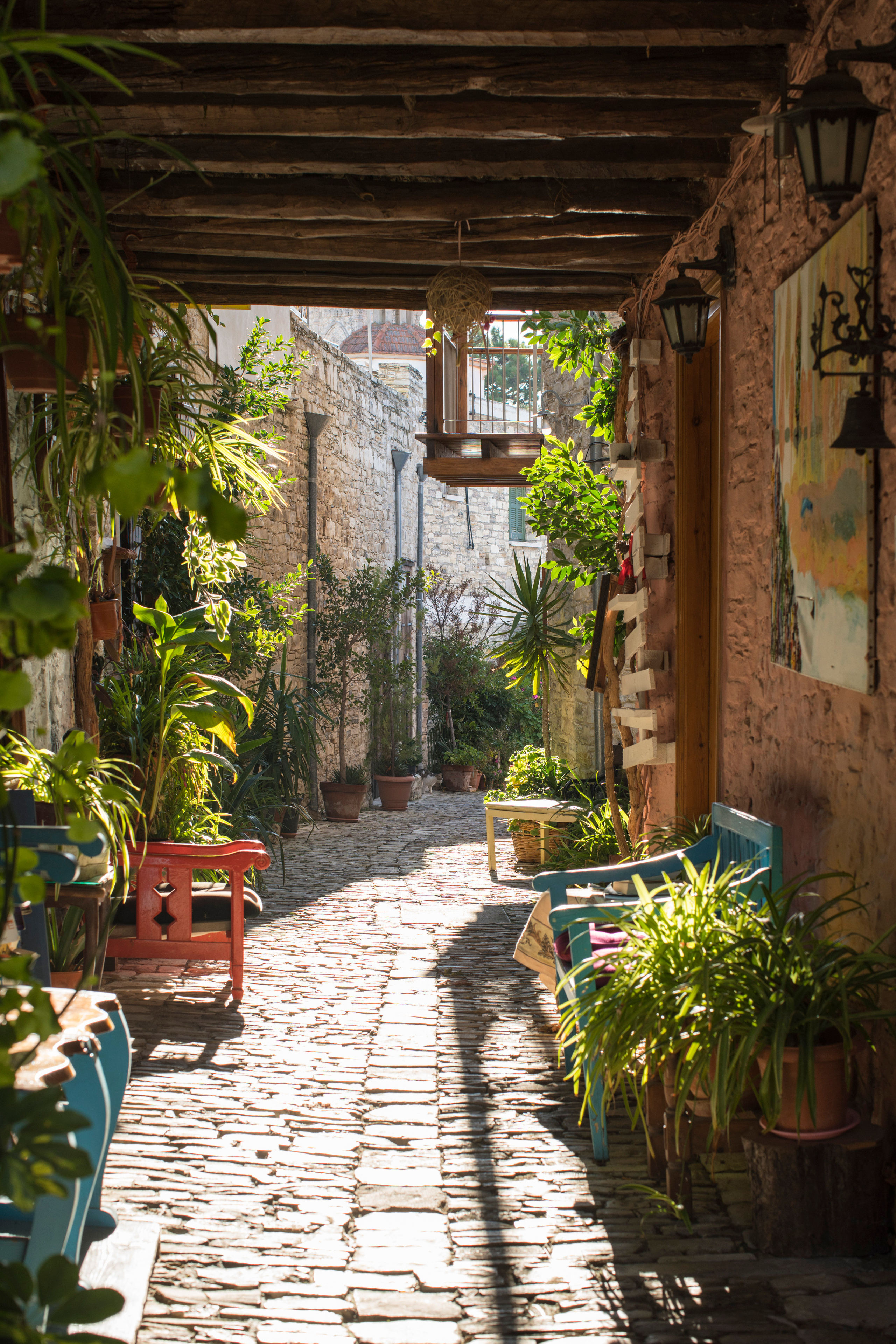 Кипр (январь 2018). Фотограф Сергей Танков