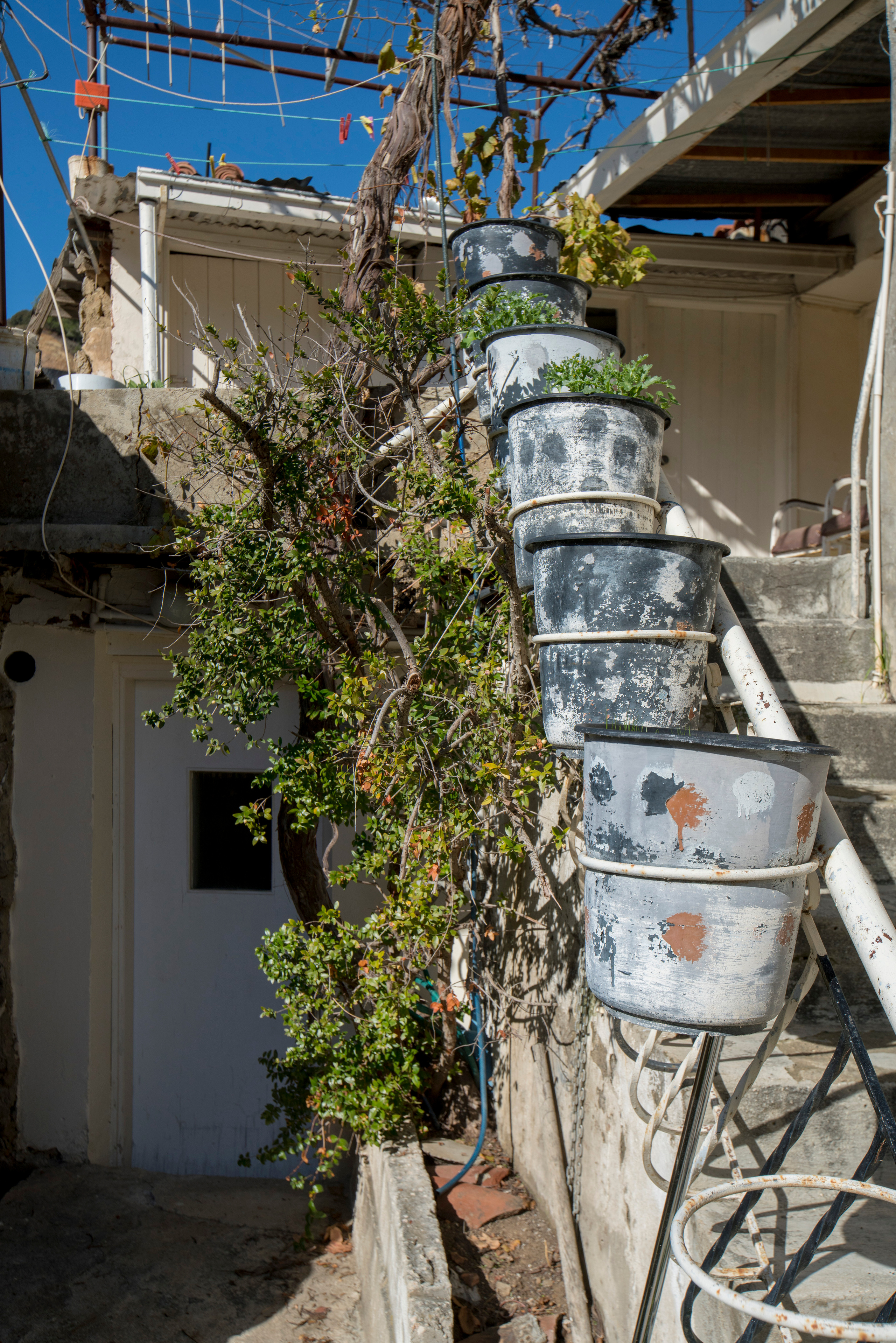 Кипр (январь 2018). Фотограф Сергей Танков