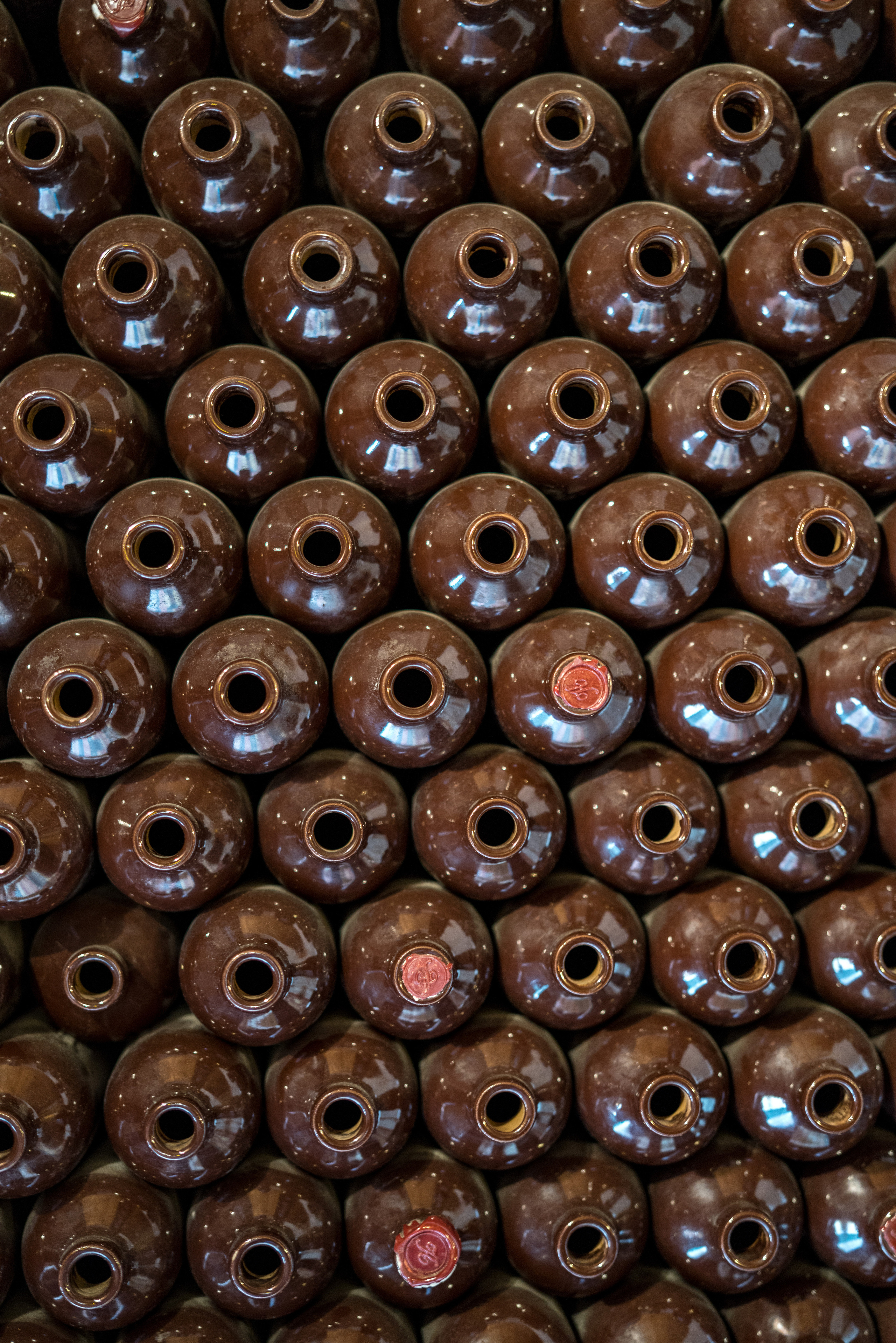 Рига (август 2018). Фотограф Сергей Танков