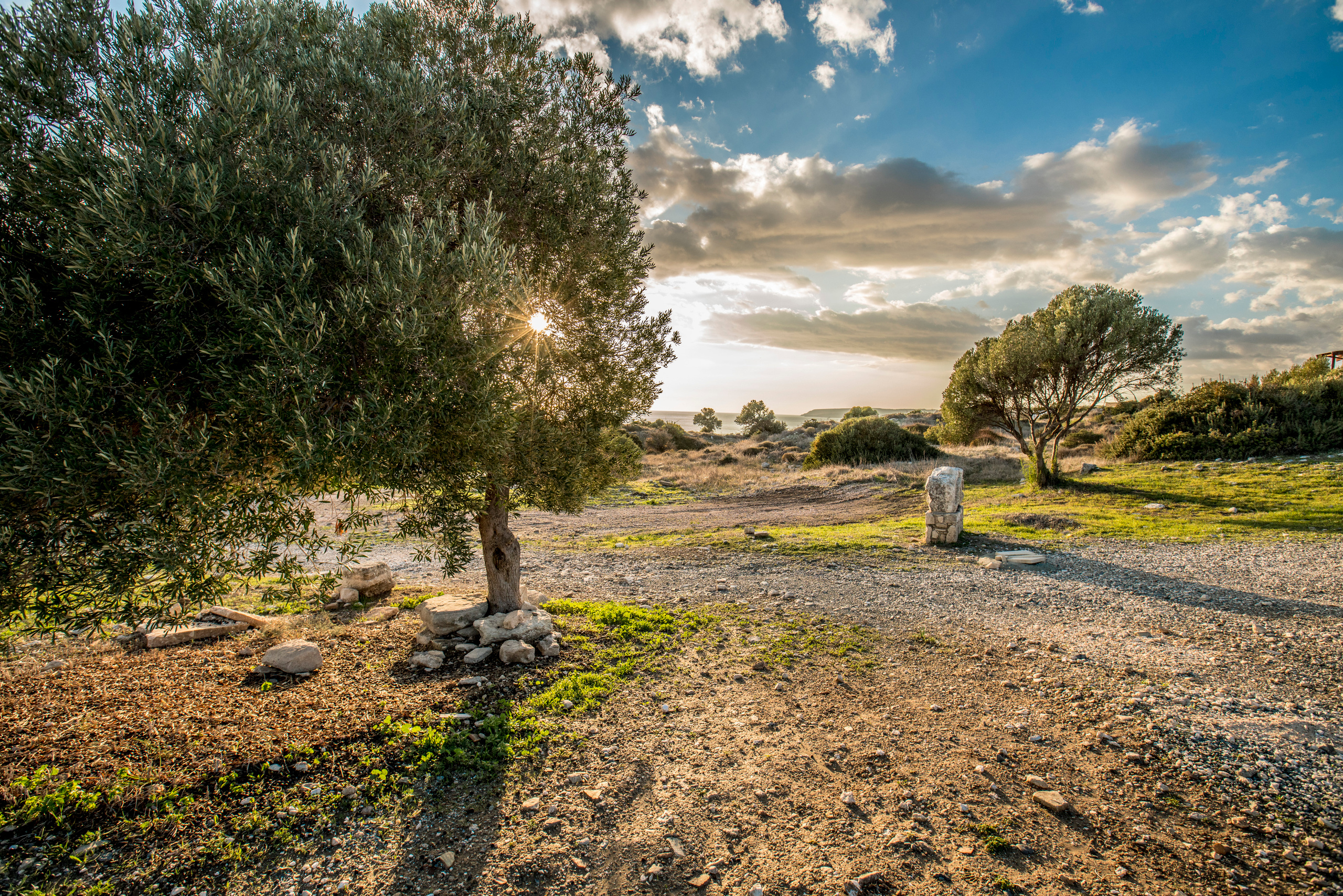 Кипр (январь 2018). Фотограф Сергей Танков