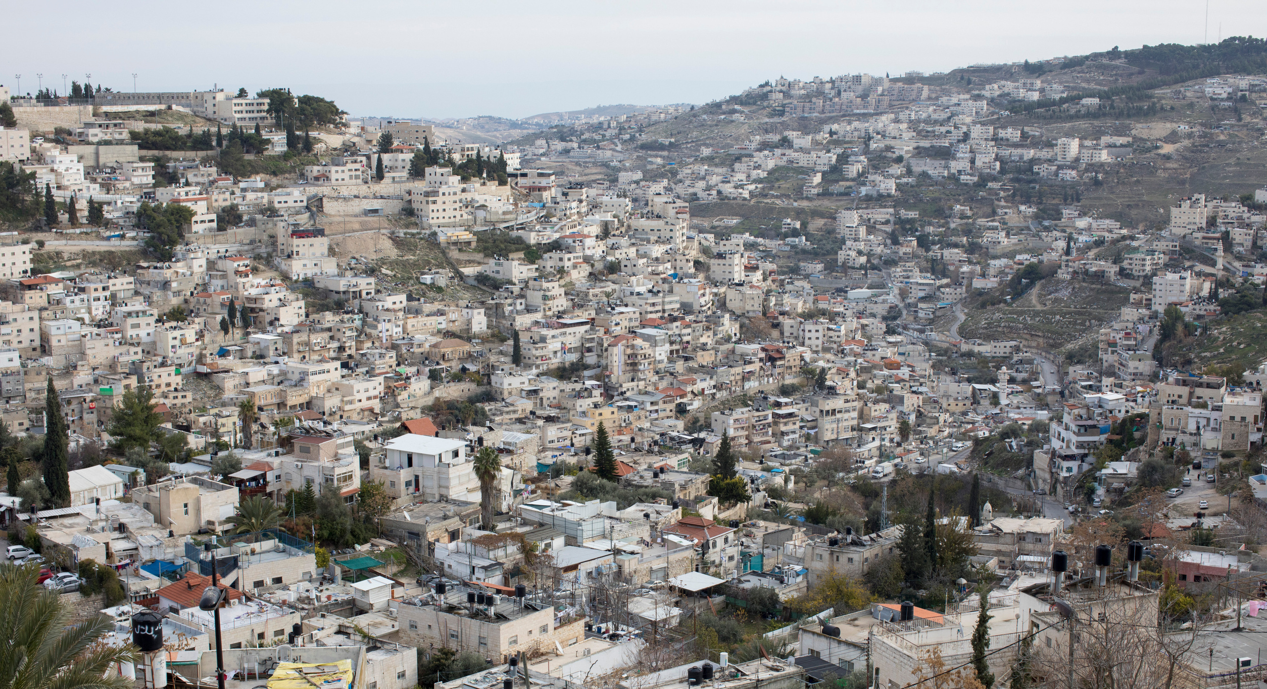 Израиль (январь 2017). Фотограф Сергей Танков